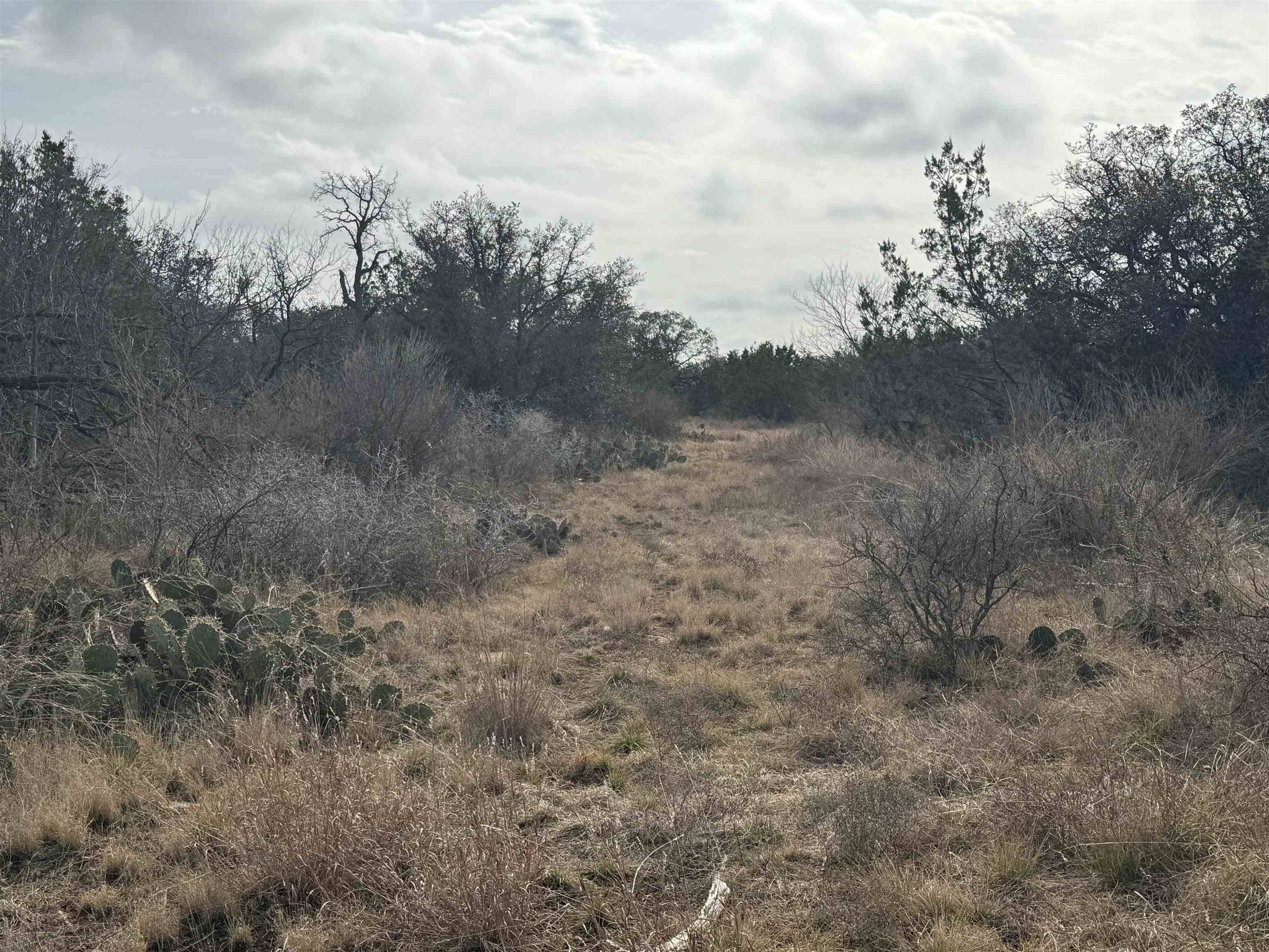 County Road 450 County Road, Winchell, TX 76827