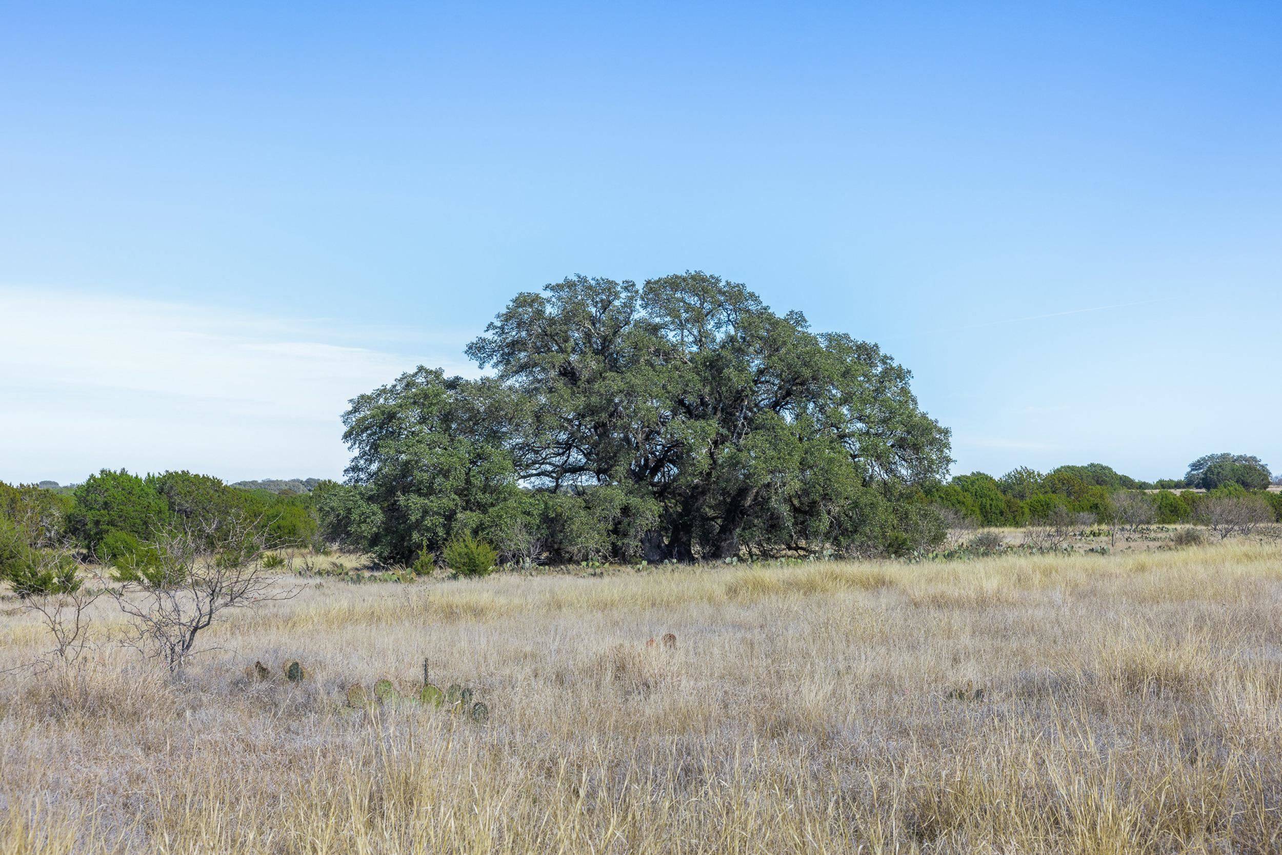 Lot 2 Bluestem LN, Lampasas, TX 76550