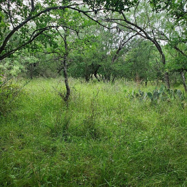 Lots 521, 522 Lake DR, Granite Shoals, TX 78964