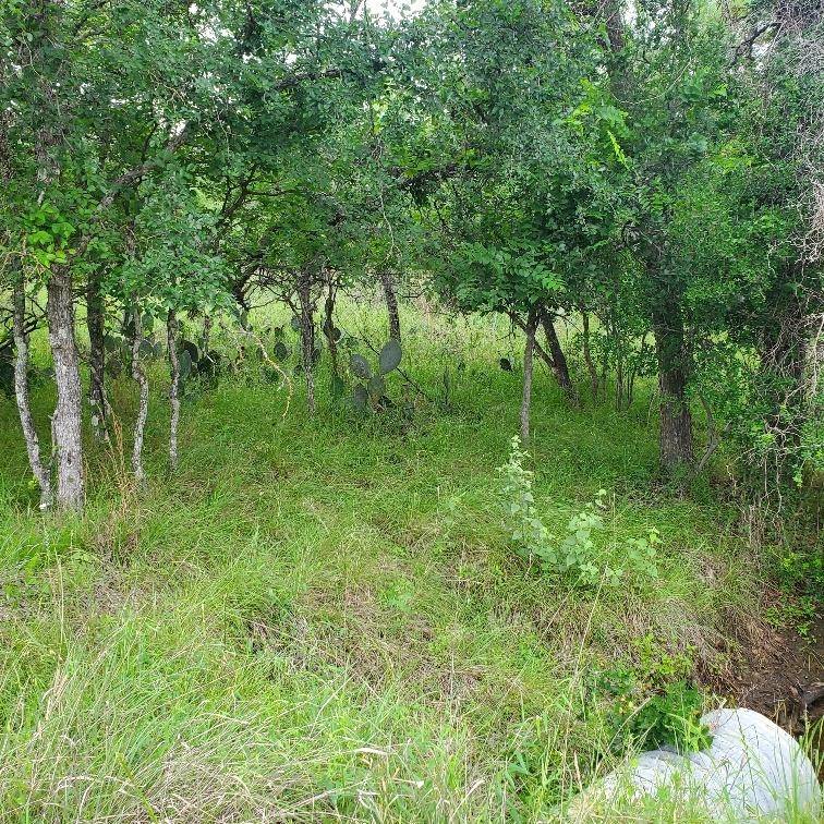 Lots 521, 522 Lake DR, Granite Shoals, TX 78964