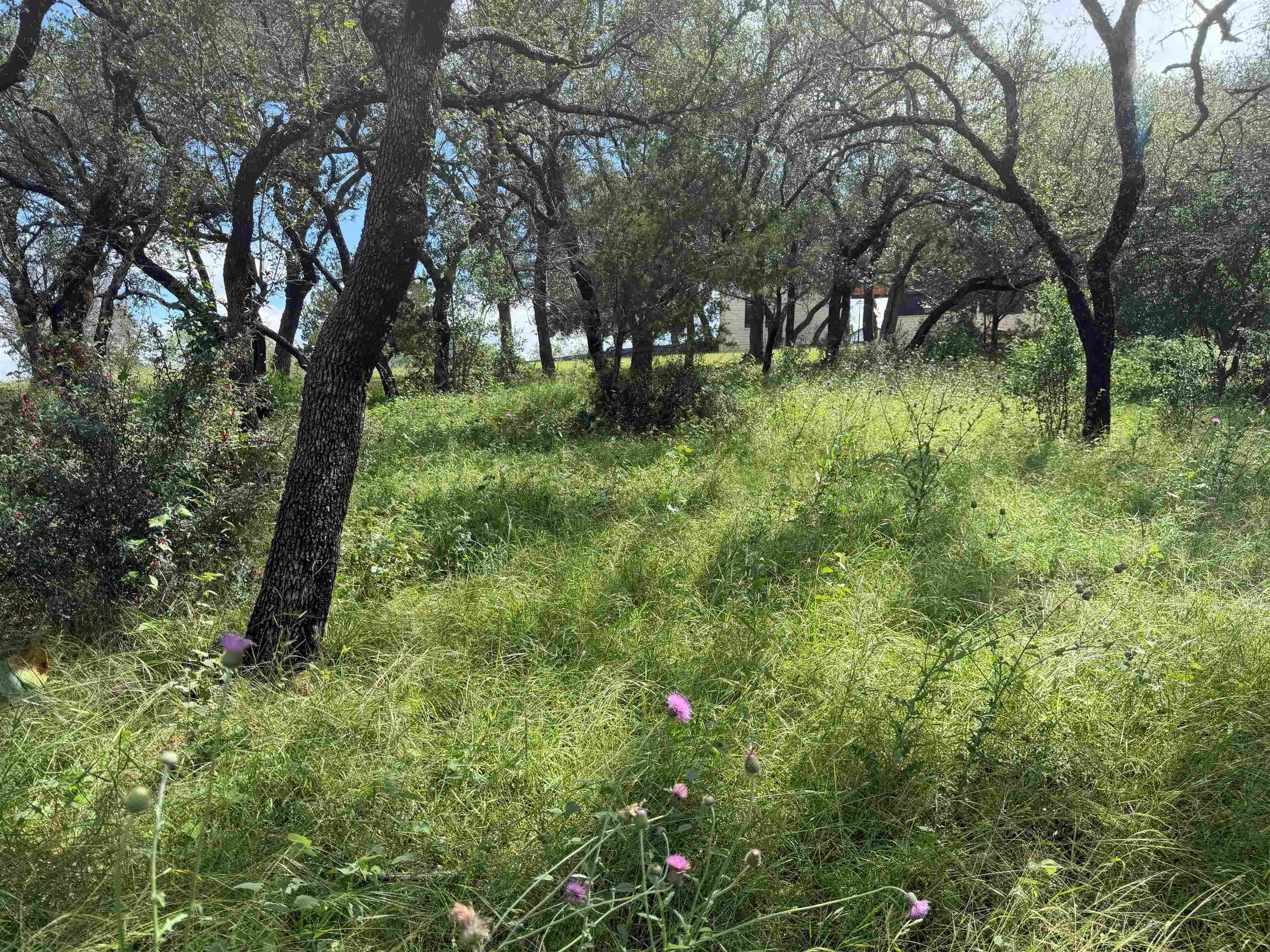 117 Lost Nugget, Horseshoe Bay, TX 78657