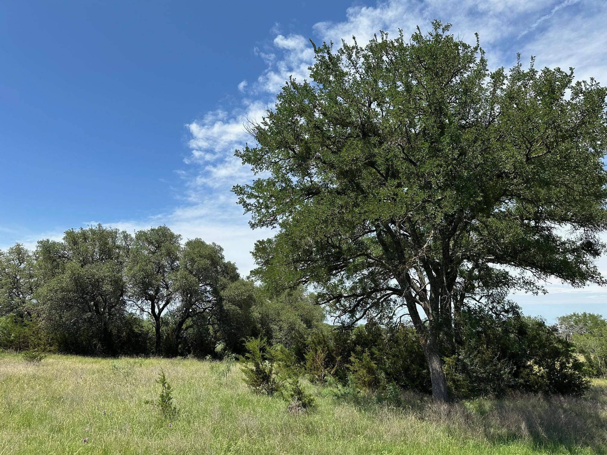 unk County Road 330, Bertram, TX 78605