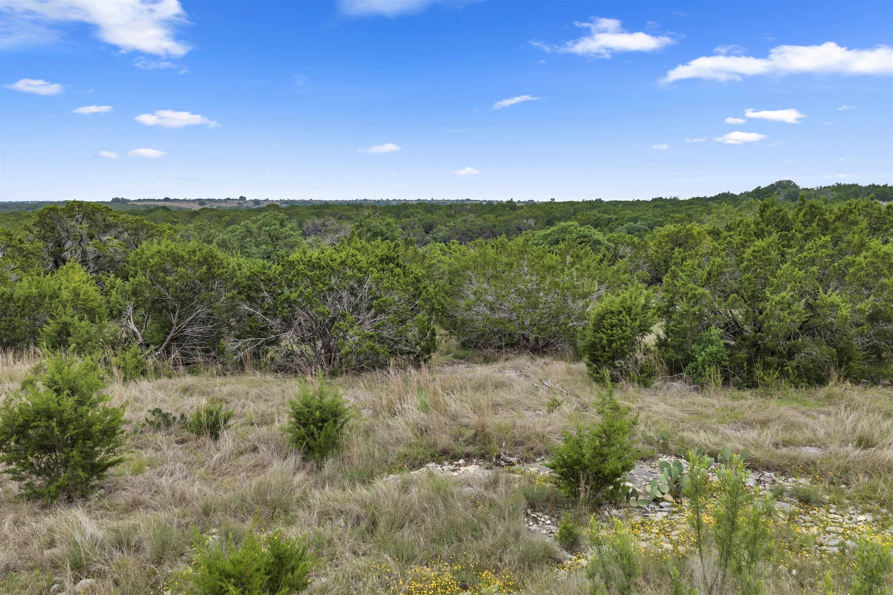 TBD Whitetail RDG, Bertram, TX 78605