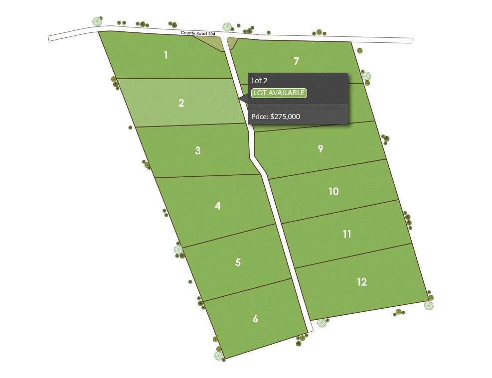 Tract 2 County 204 RD, Burnet, TX 78611