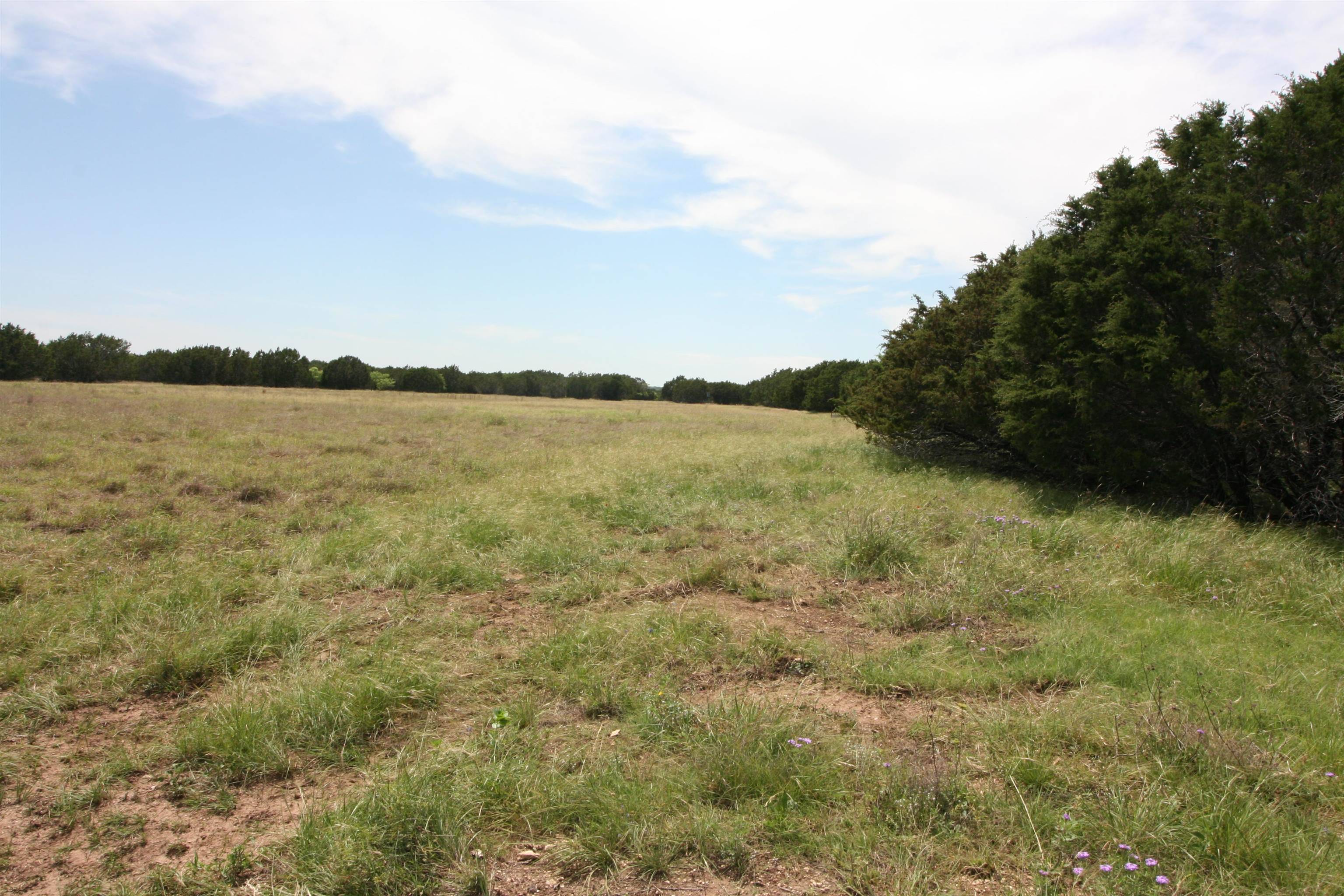 Tract 4 County 204 RD, Burnet, TX 78611