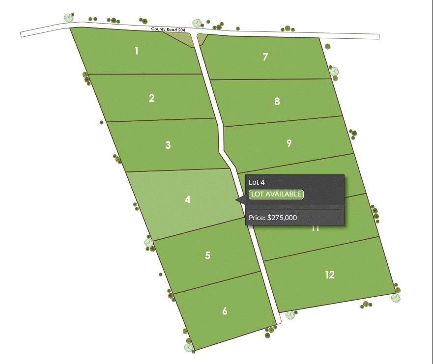 Tract 4 County 204 RD, Burnet, TX 78611