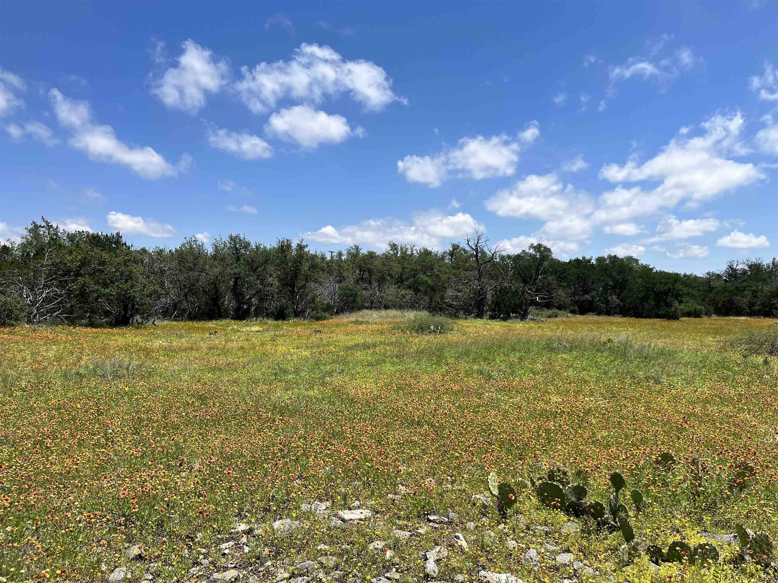 LOT 28 Twisted Oak DR, Horseshoe Bay, TX 78657