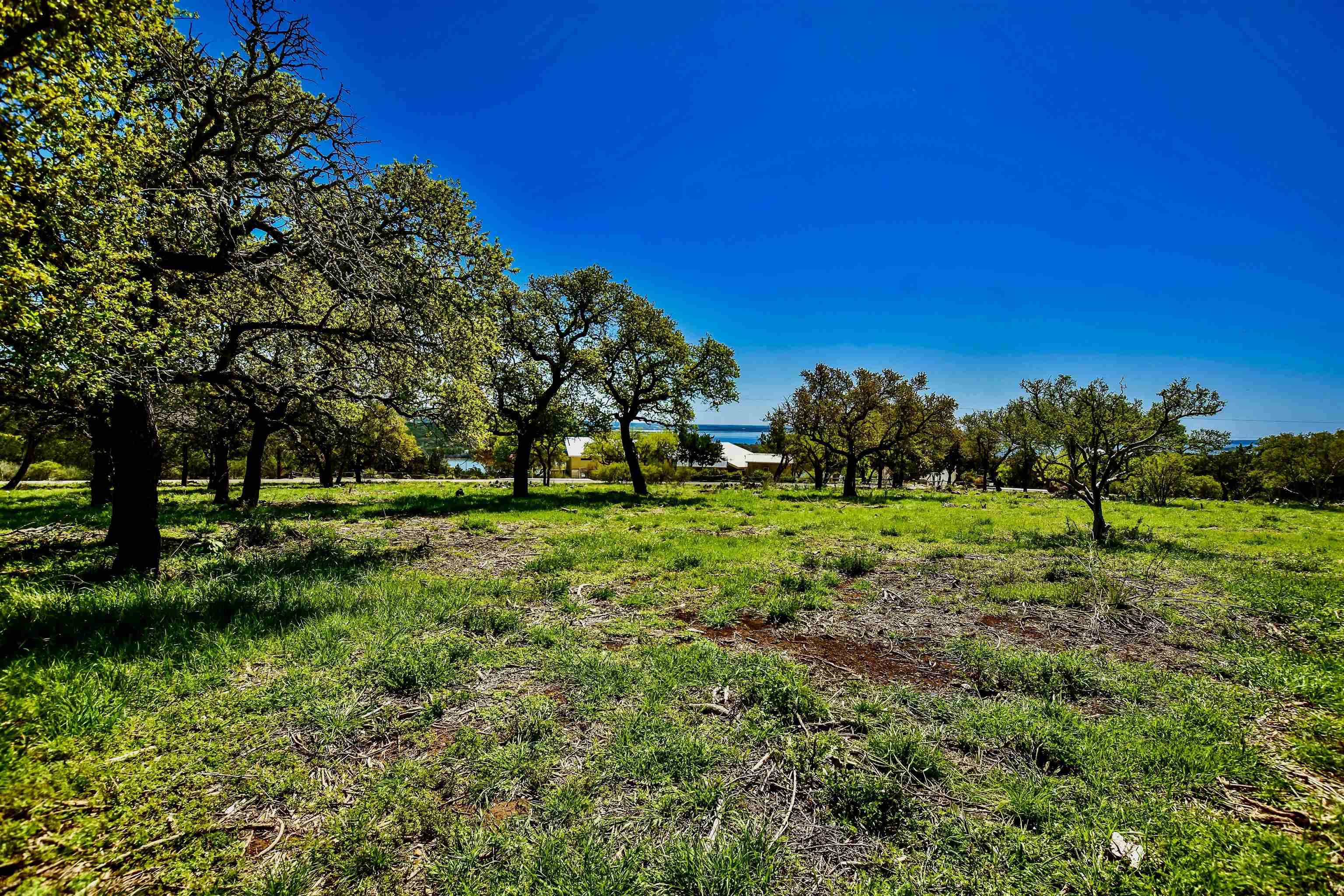 ED LOW DRIVE, Burnet, TX 78611