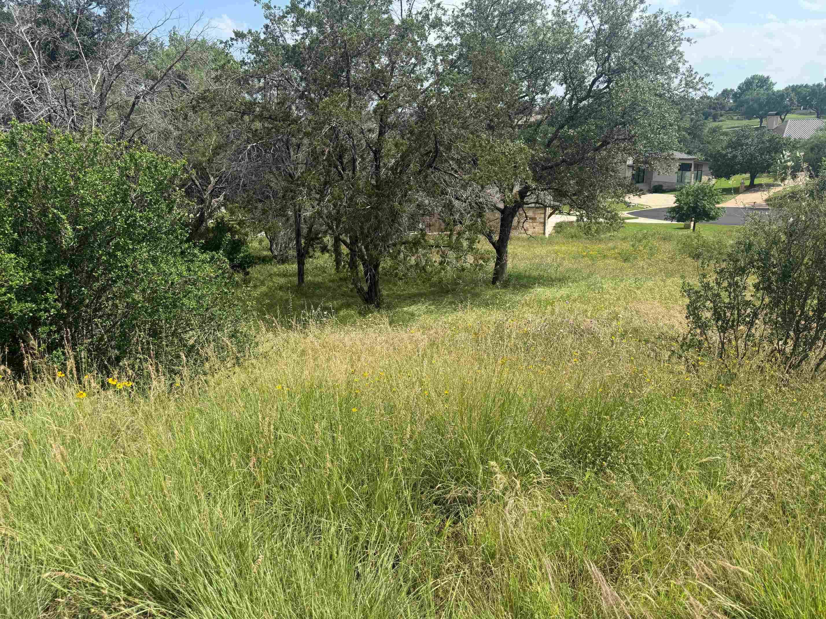 LT W25057 Apache Tears, Horseshoe Bay, TX 78657