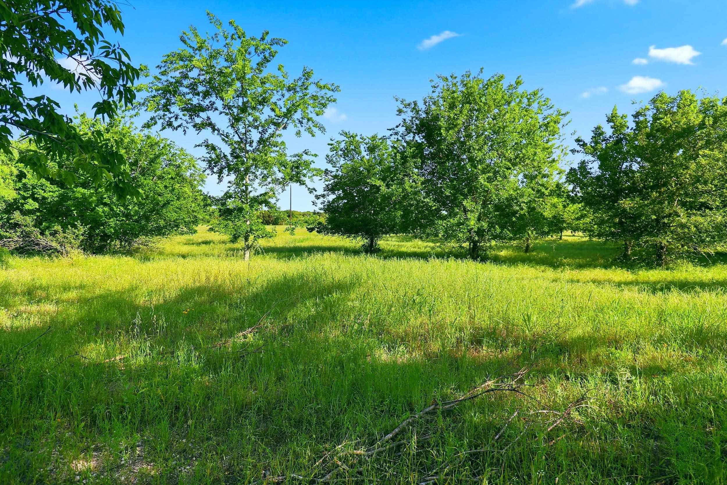 211 CR 204, Burnet, TX 78611