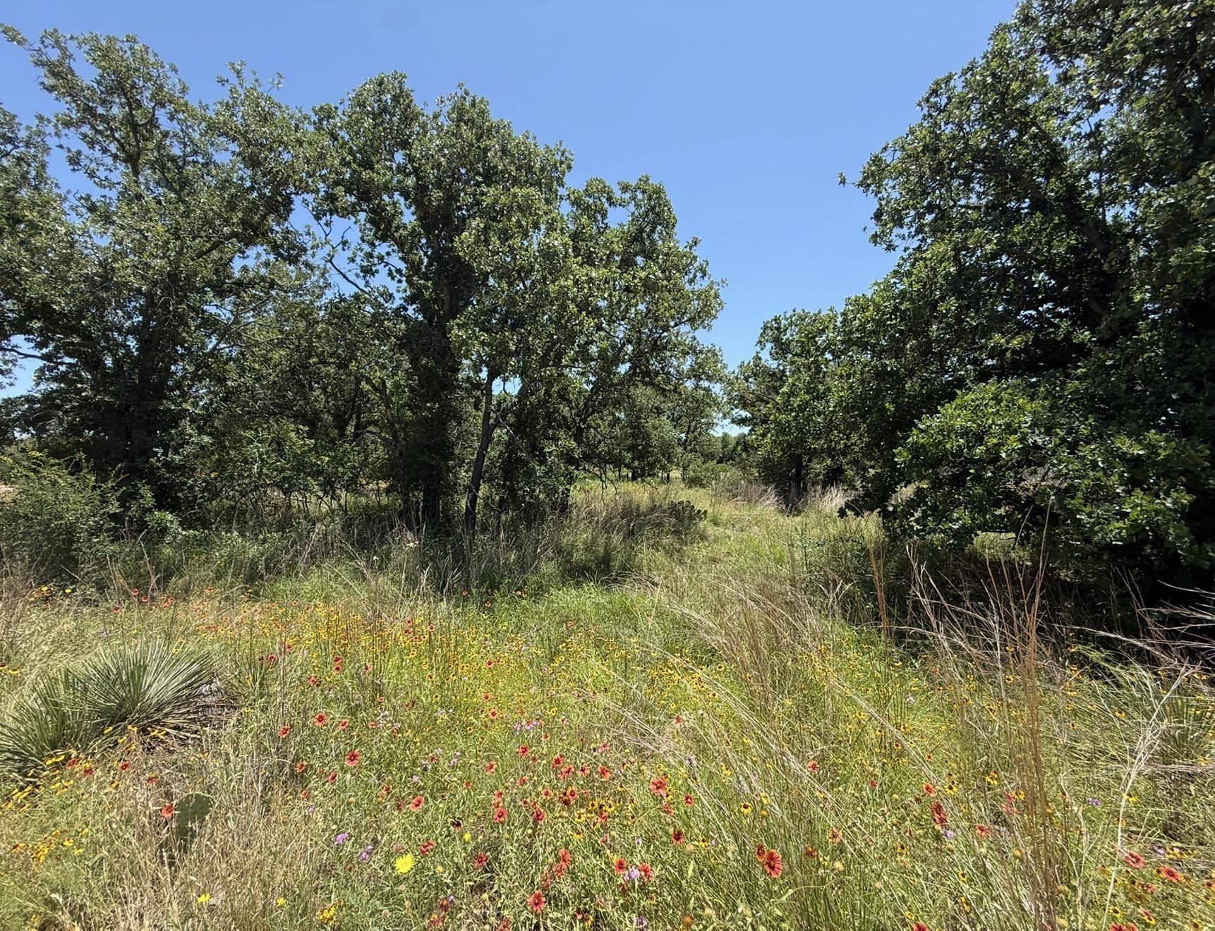 TBD North Pass, Kingsland, TX 78639
