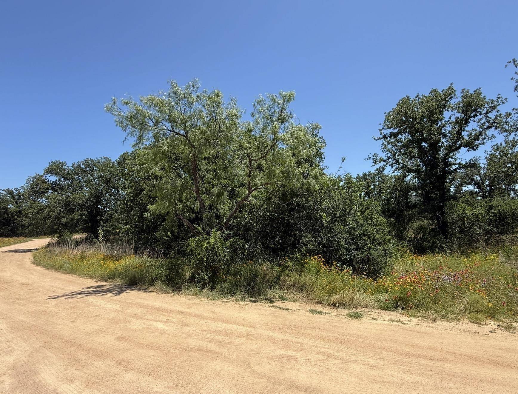 TBD North Pass, Kingsland, TX 78639