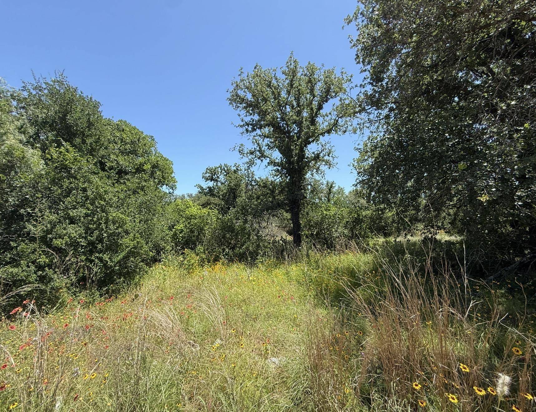 TBD North Pass, Kingsland, TX 78639