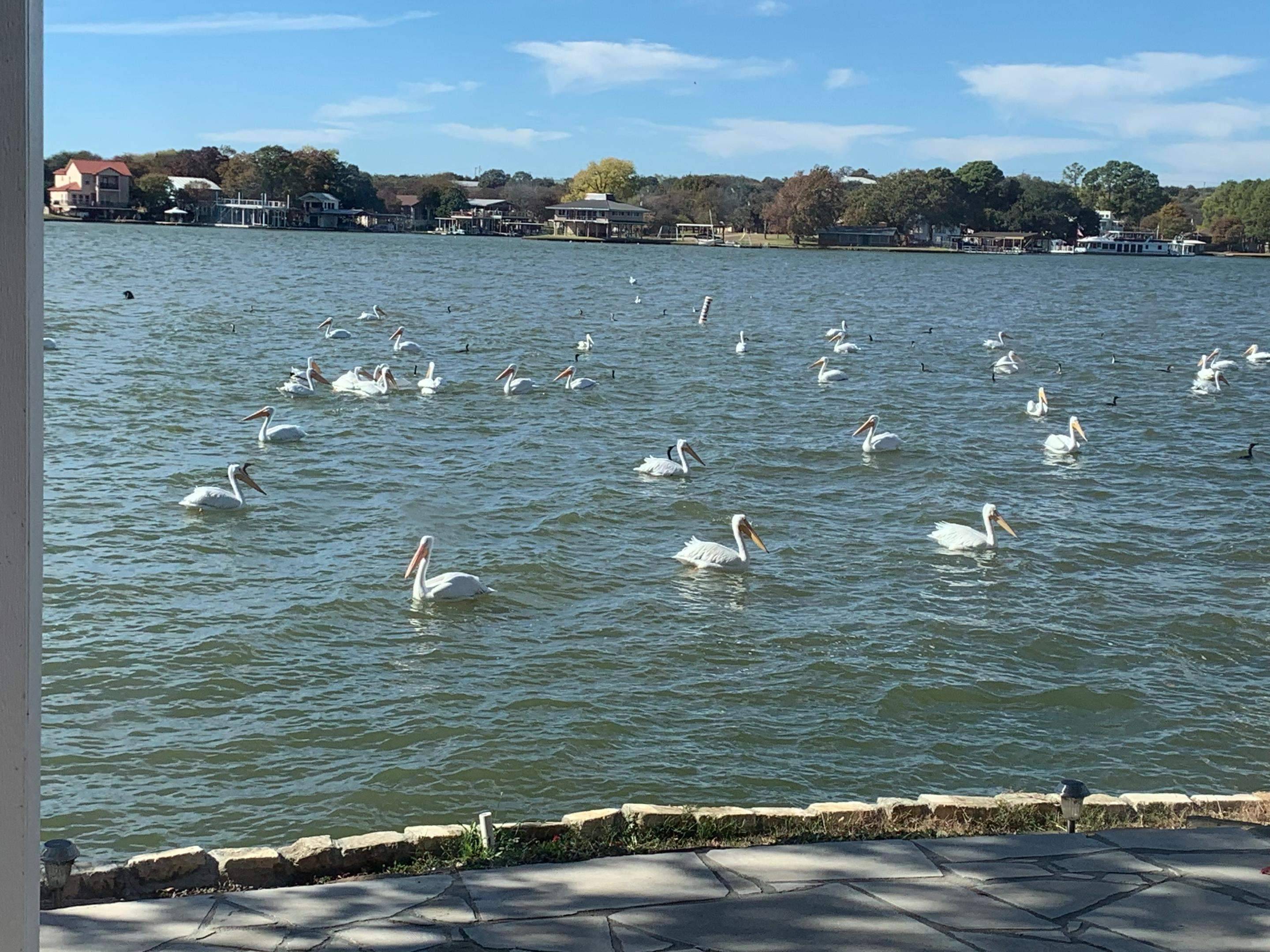 324 Granite Shoals LN, Sunrise Beach, TX 78643