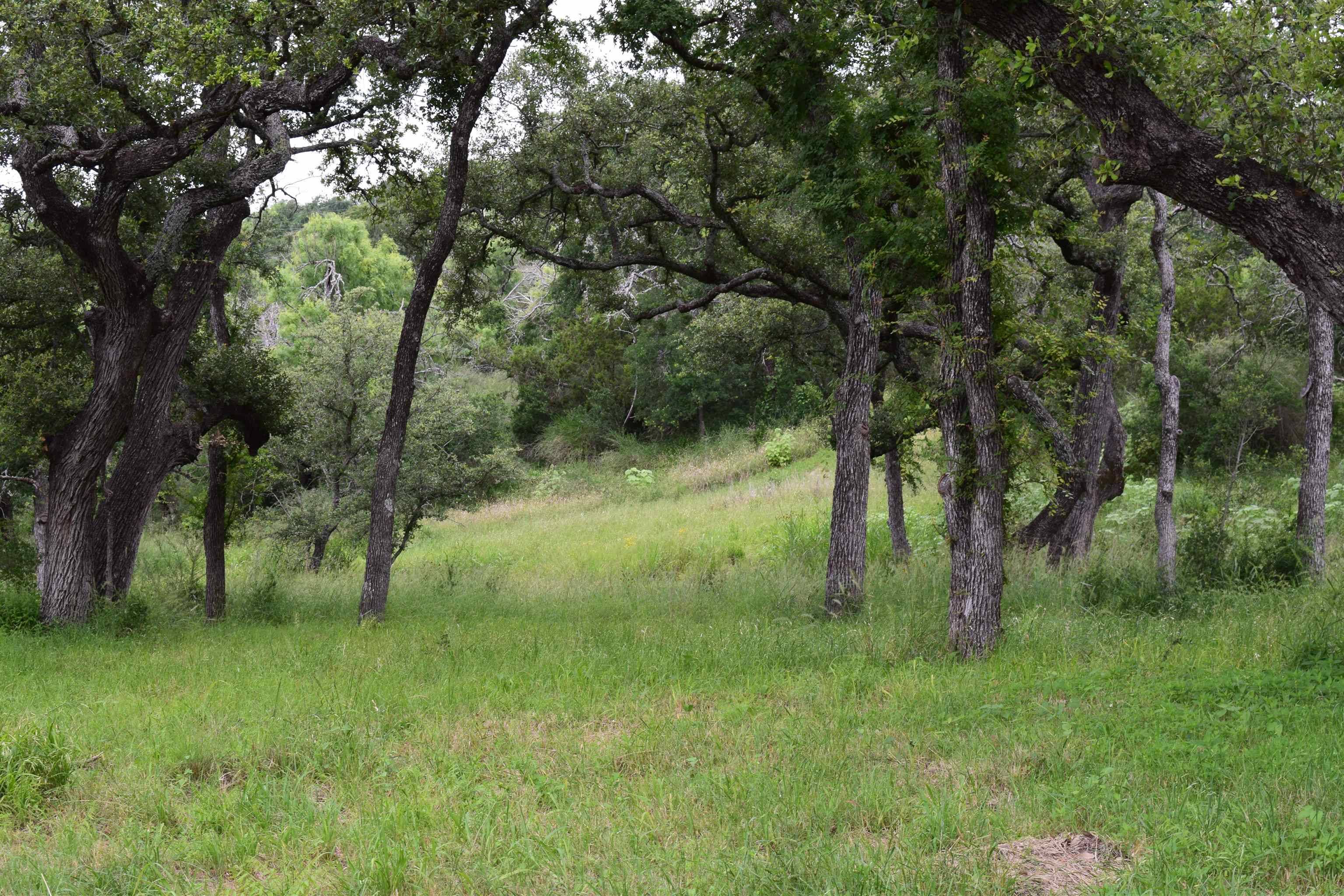 10430 Ranch Road 2341, Burnet, TX 78611