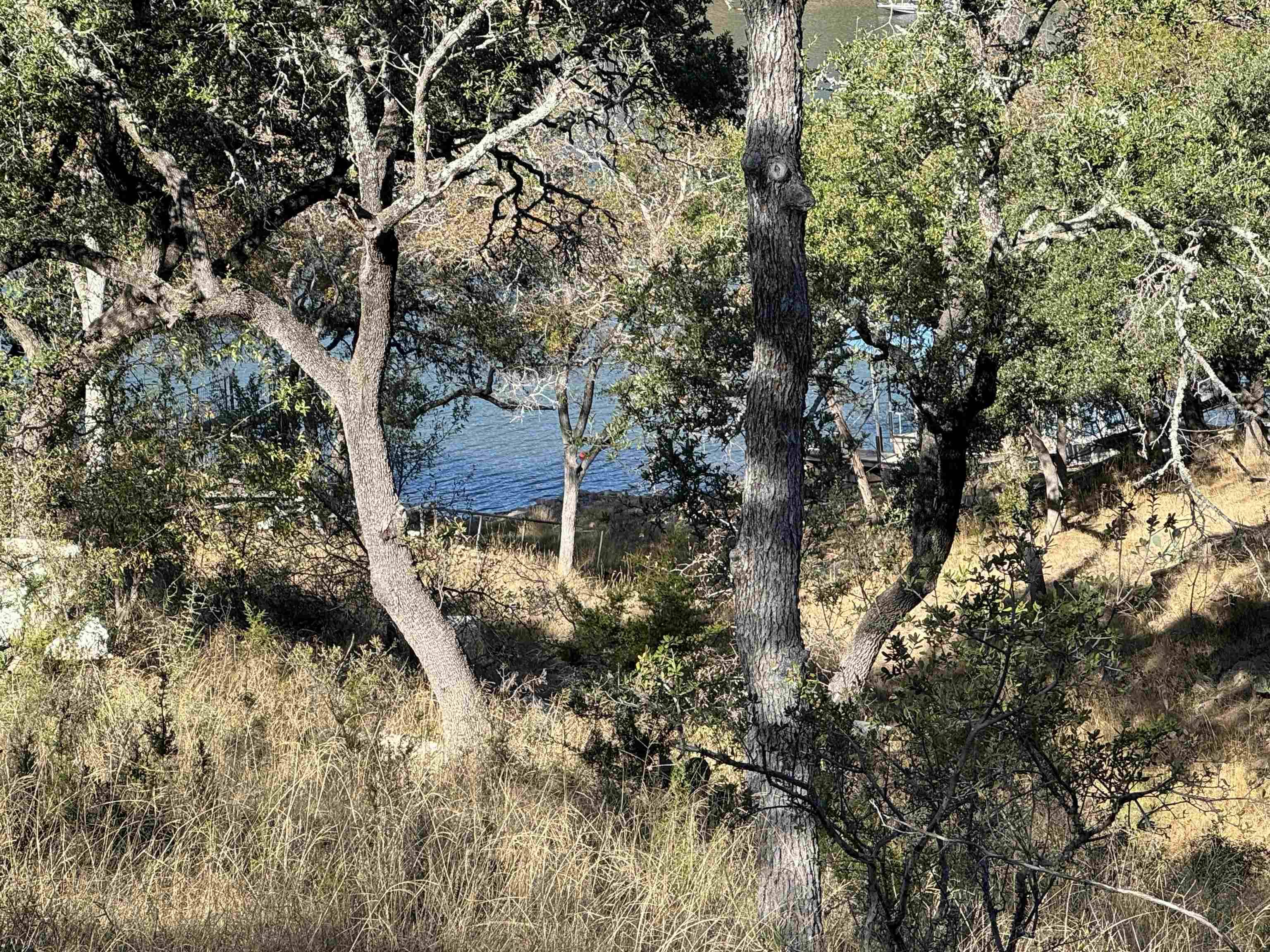 00 CR 137, Burnet, TX 78611