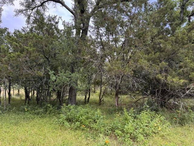 Lot 27 Pecan LN, Cottonwood Shores, TX 78657