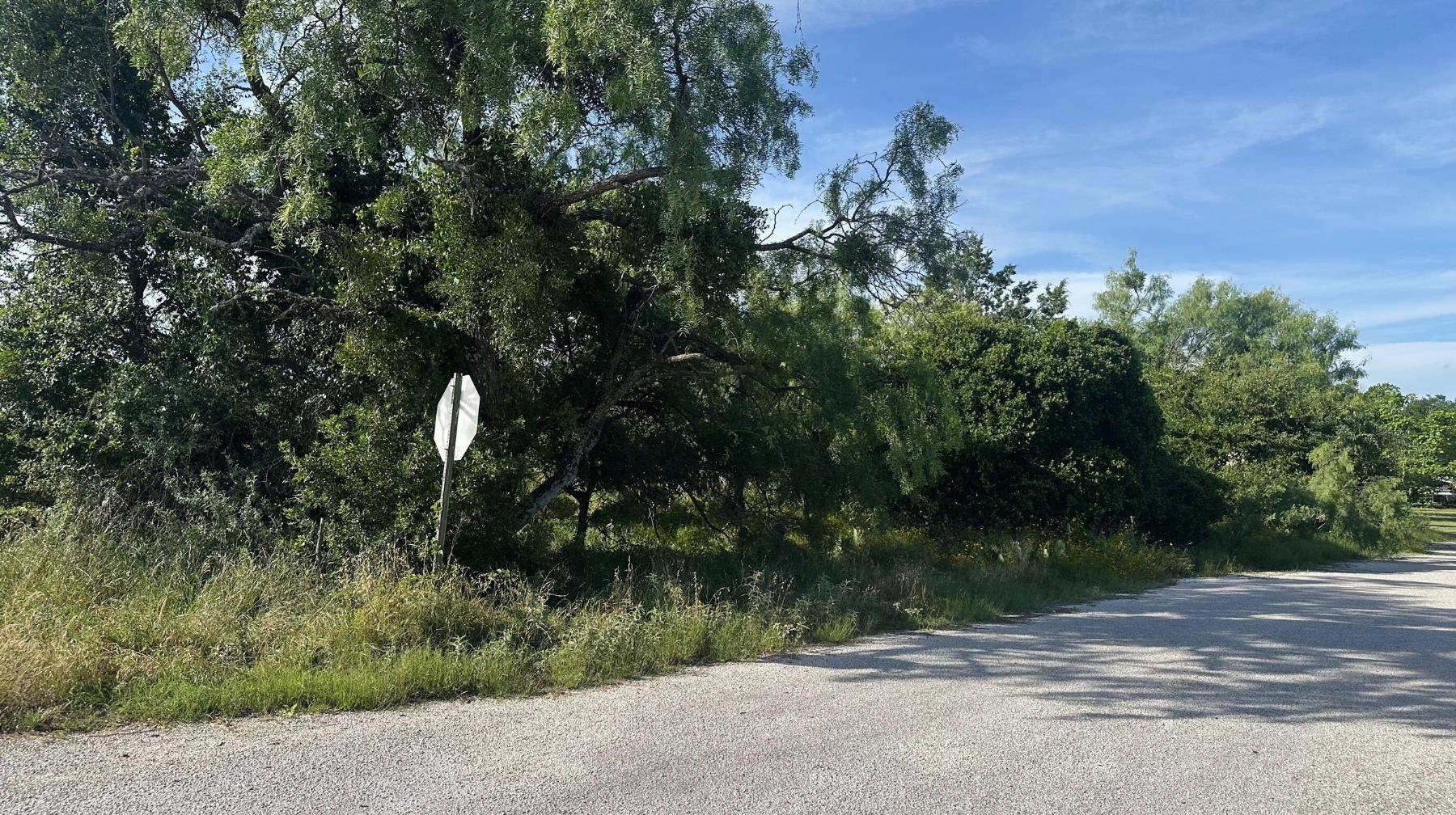 LT 852 & 853 Melba LN, Tow, TX 78672