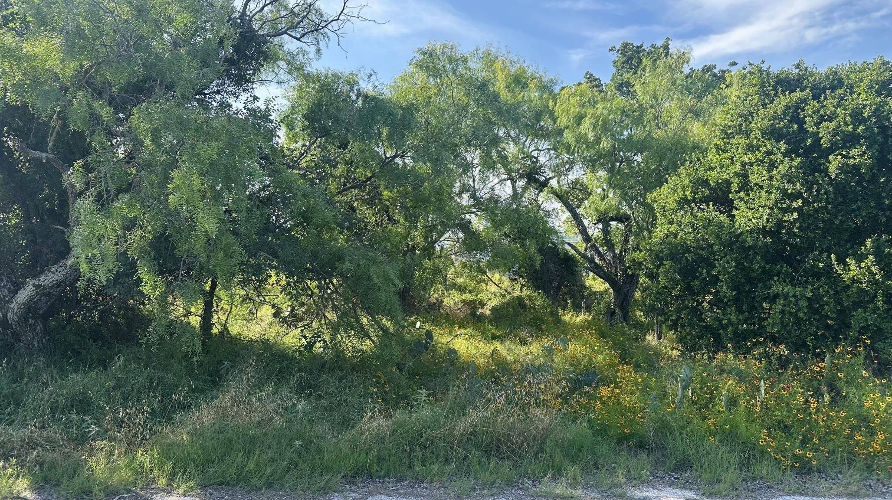LT 852 & 853 Melba LN, Tow, TX 78672