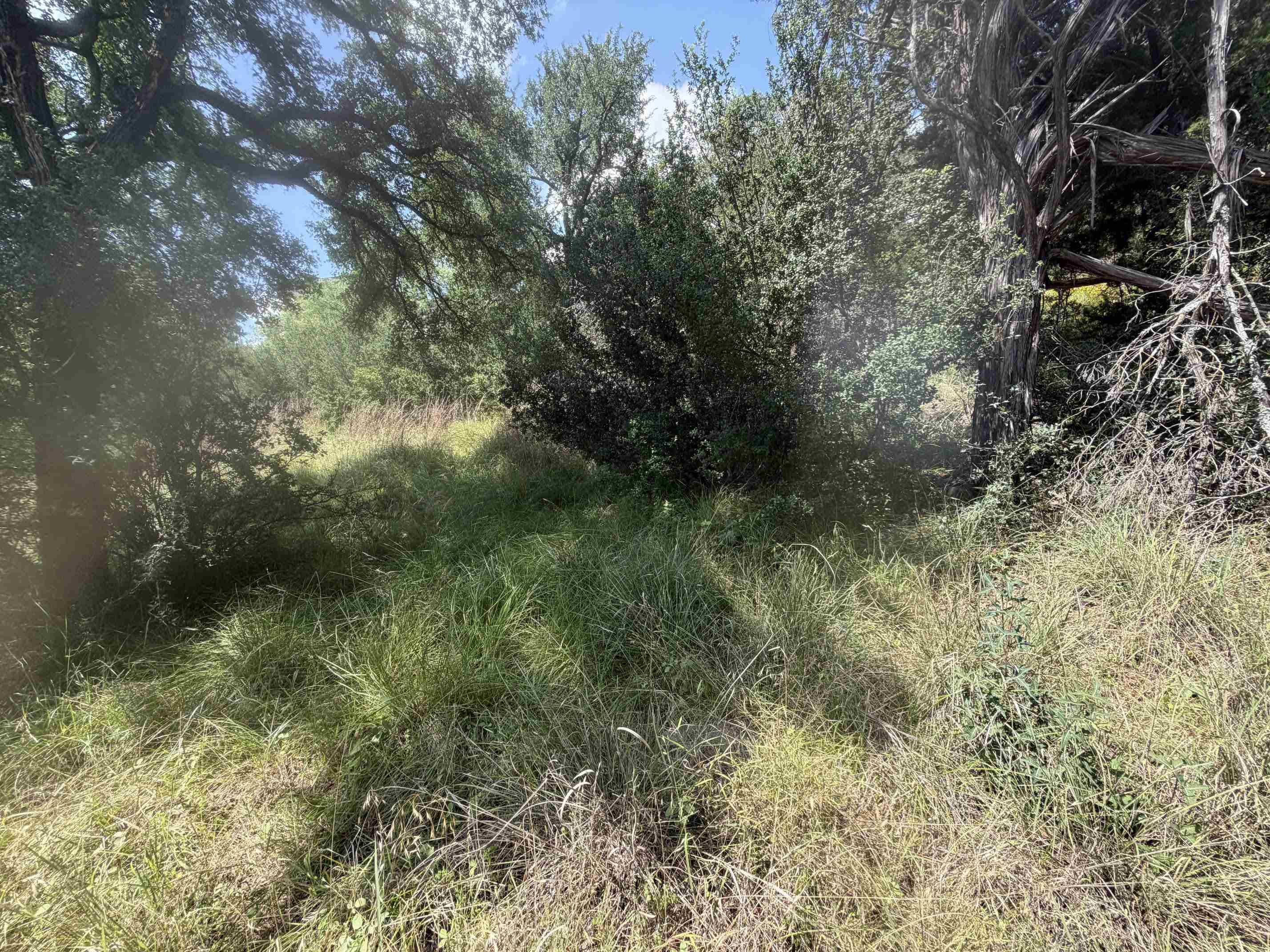 609 Mountain Leather, Horseshoe Bay, TX 78657