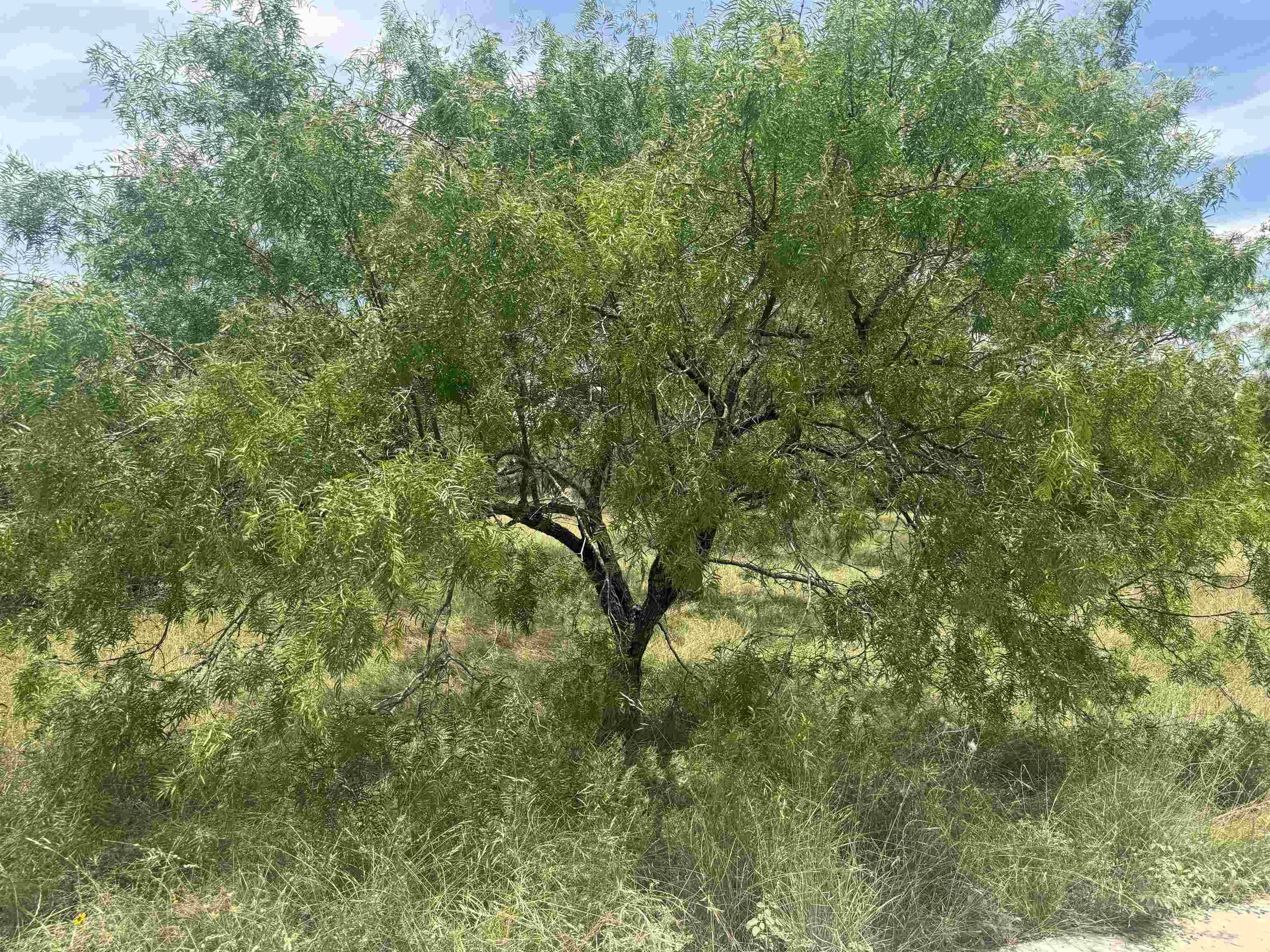 312 Lakawana, Horseshoe Bay, TX 78657