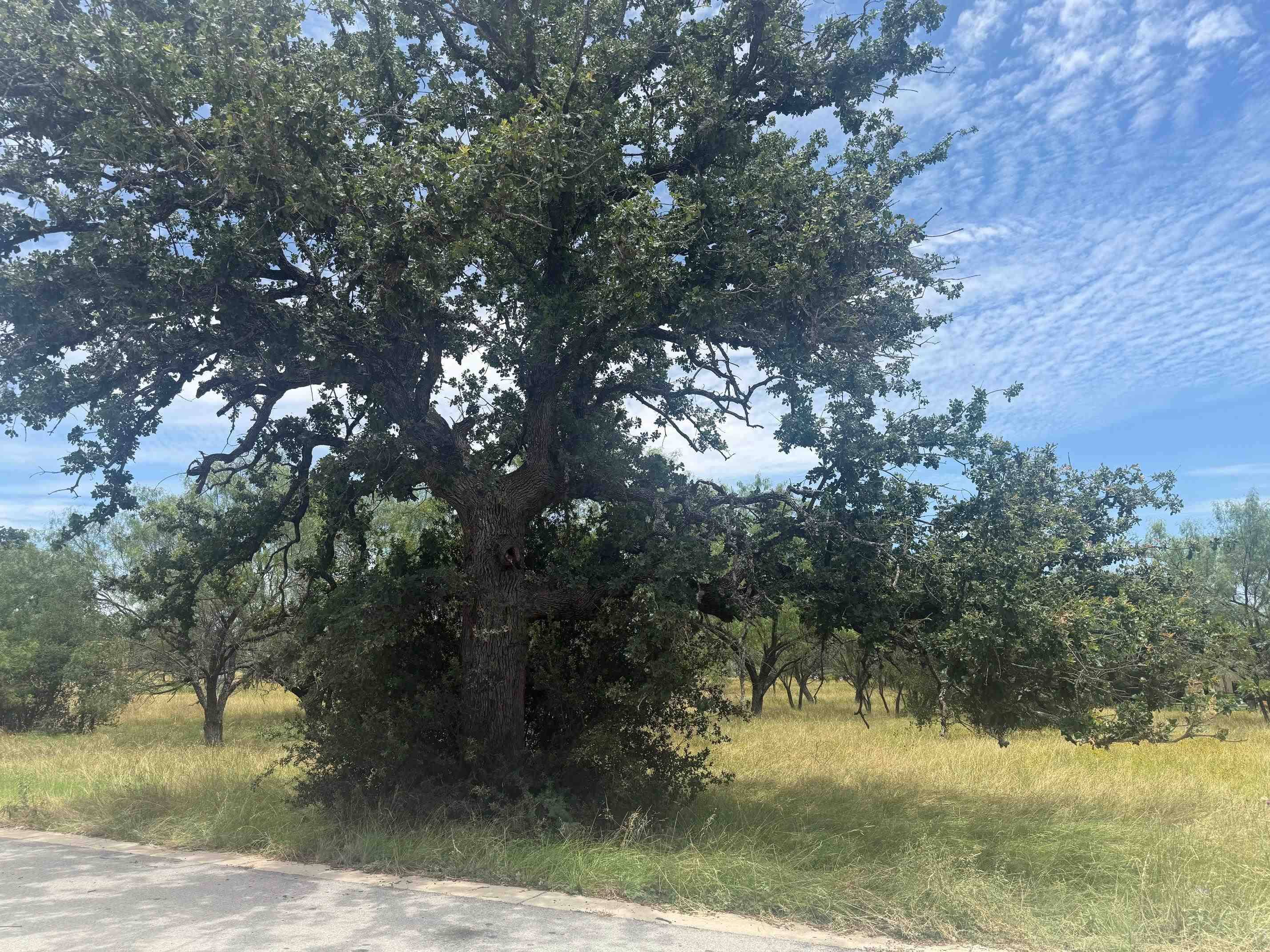 316 Lakawana, Horseshoe Bay, TX 78657