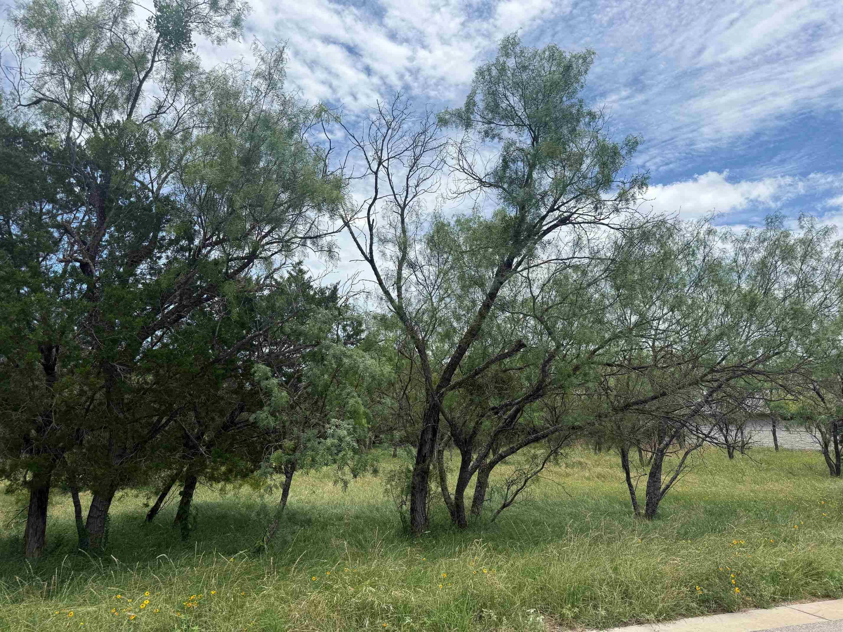 LT W22059B Sun Ray, Horseshoe Bay, TX 78657