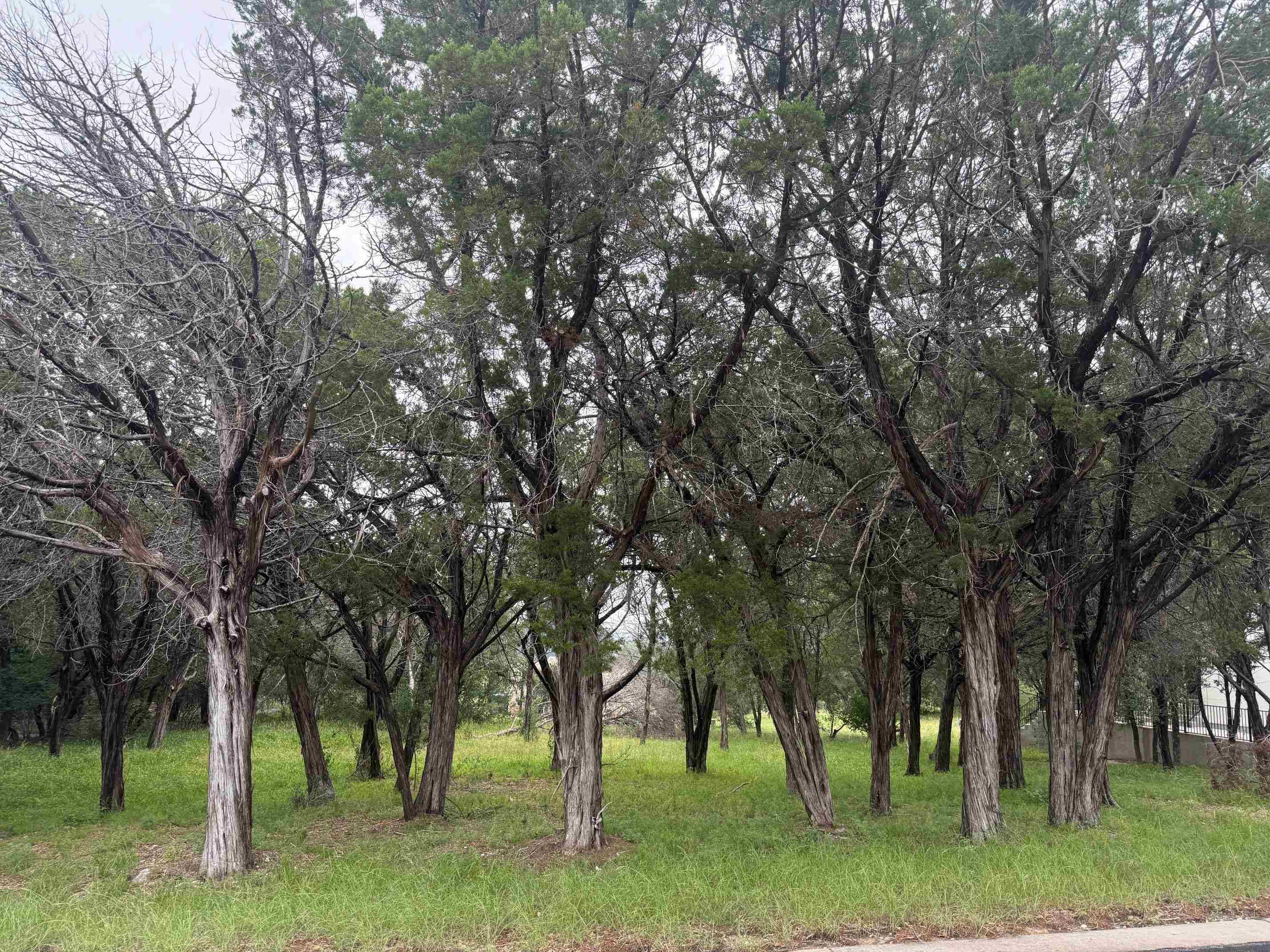 LT 44015-A Mountain Dew, Horseshoe Bay, TX 78657
