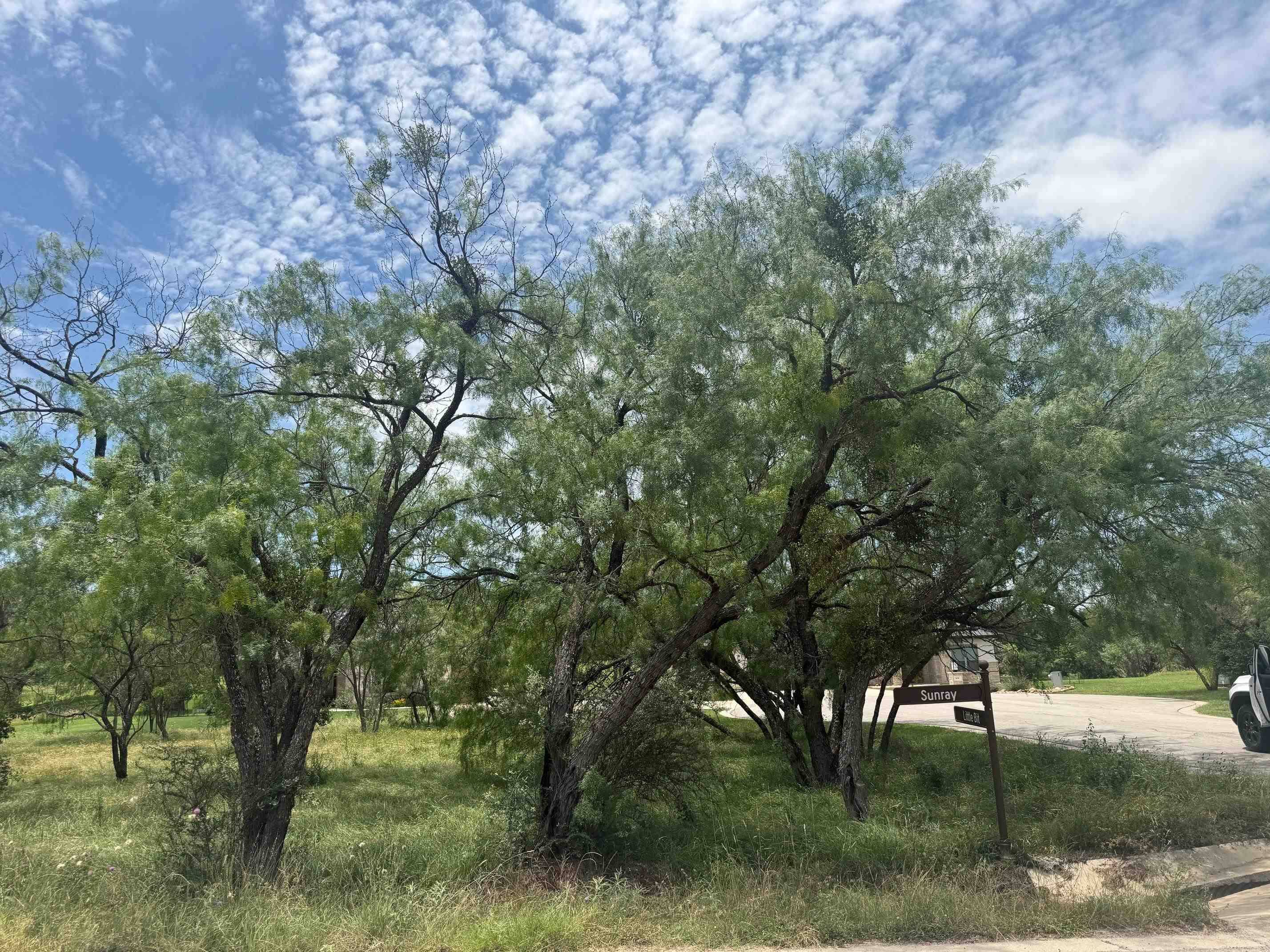 LT W22026 Sun Ray/Little Bit, Horseshoe Bay, TX 78657