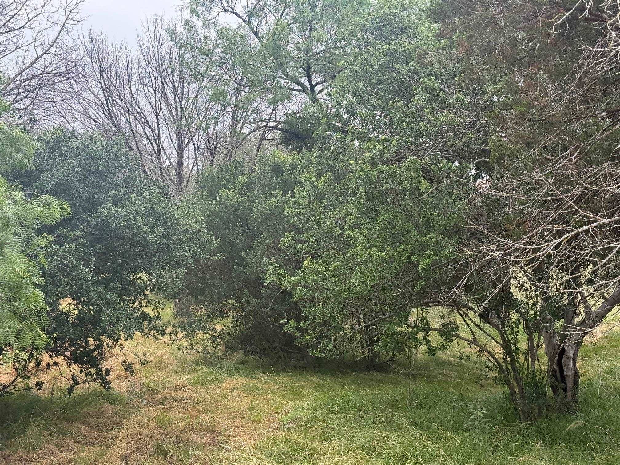 103 Blue Fox, Horseshoe Bay, TX 78657