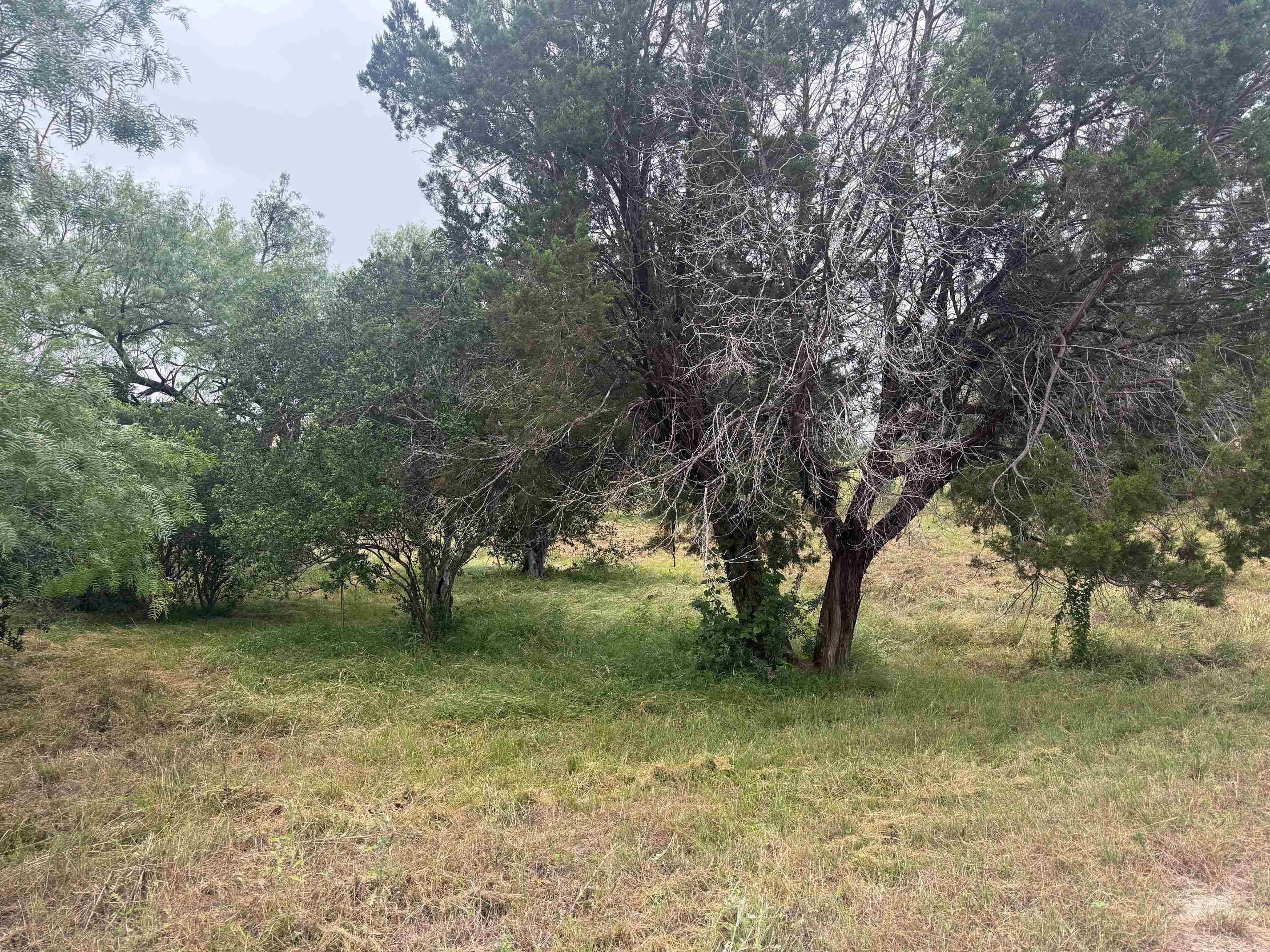 103 Blue Fox, Horseshoe Bay, TX 78657