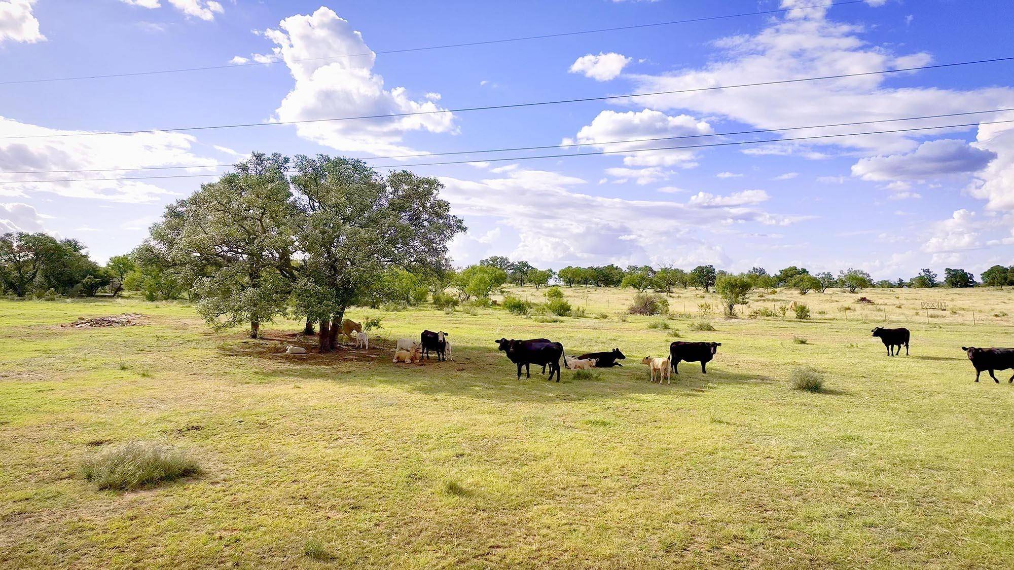 TBD 12119 W Hwy 29, Llano, TX 78643