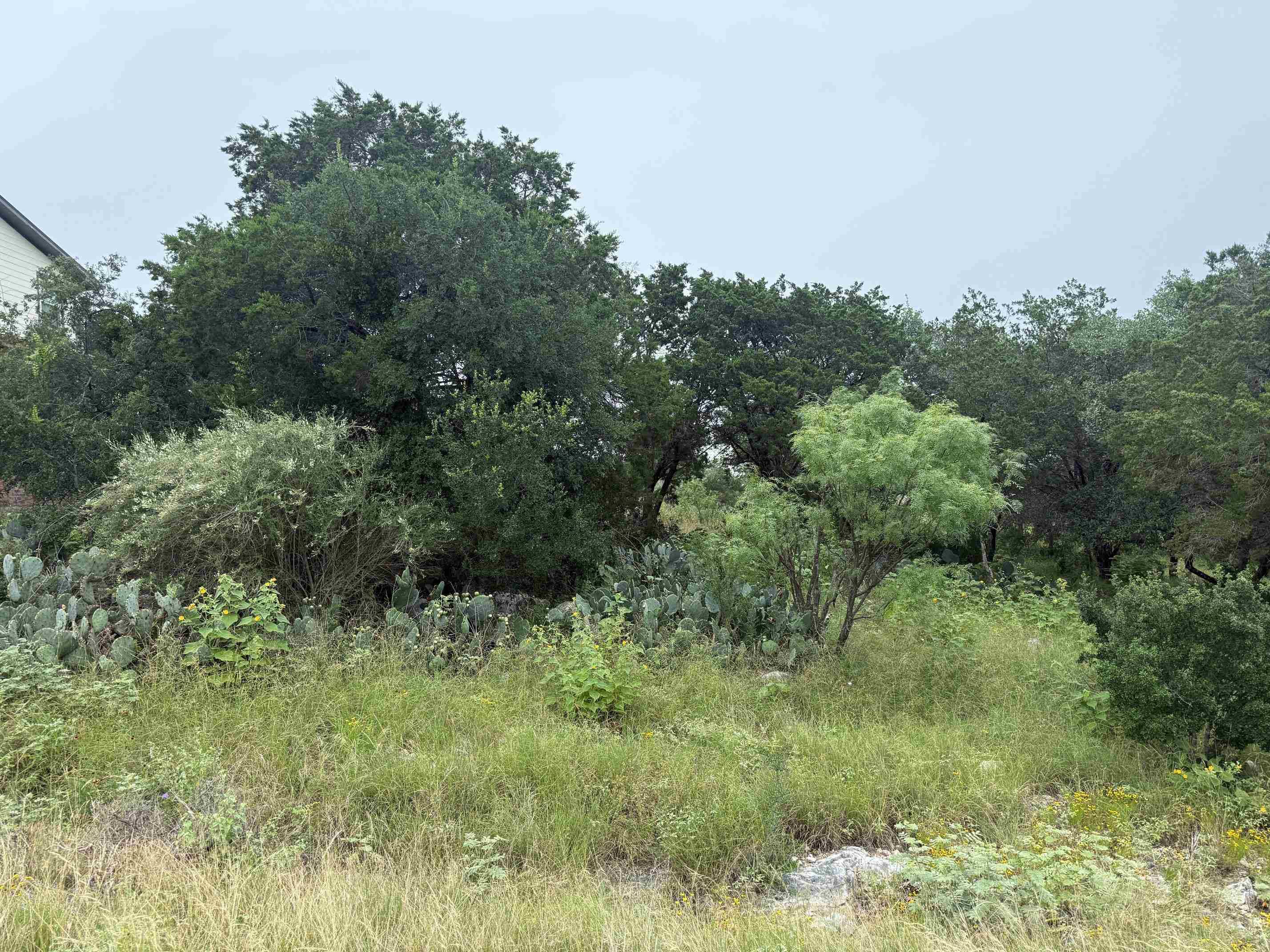 LT 27043 Buck, Horseshoe Bay, TX 78657