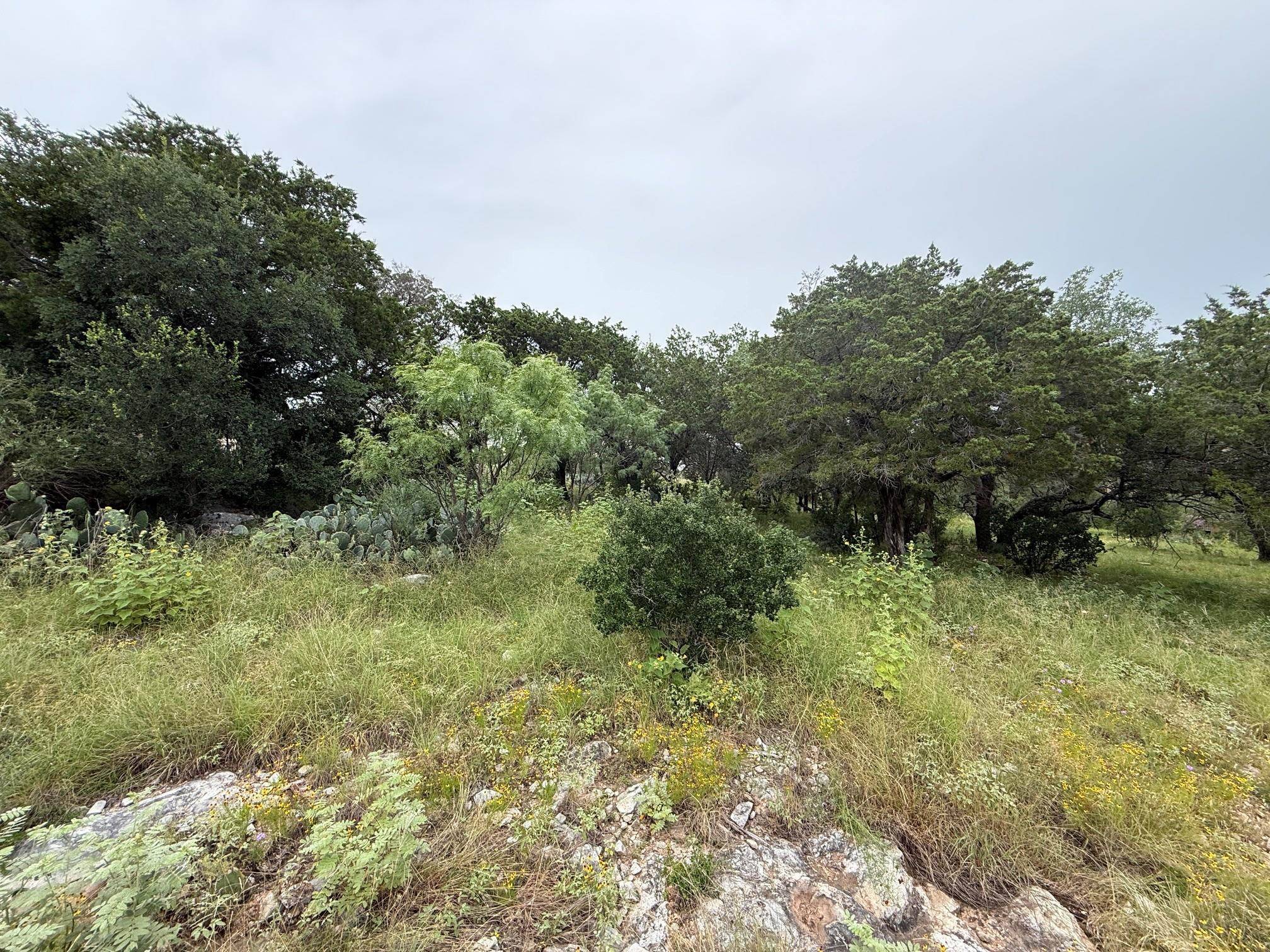 LT 27043 Buck, Horseshoe Bay, TX 78657
