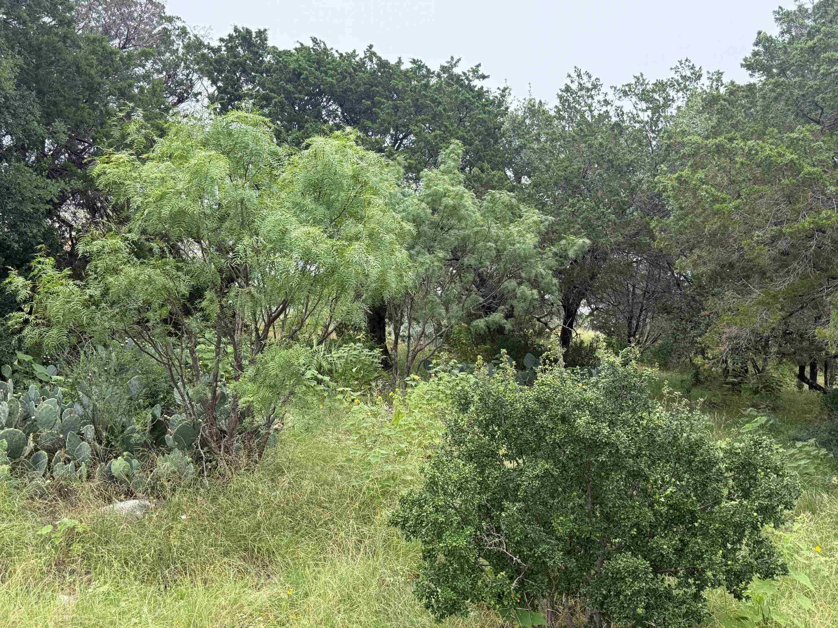 LT 27043 Buck, Horseshoe Bay, TX 78657