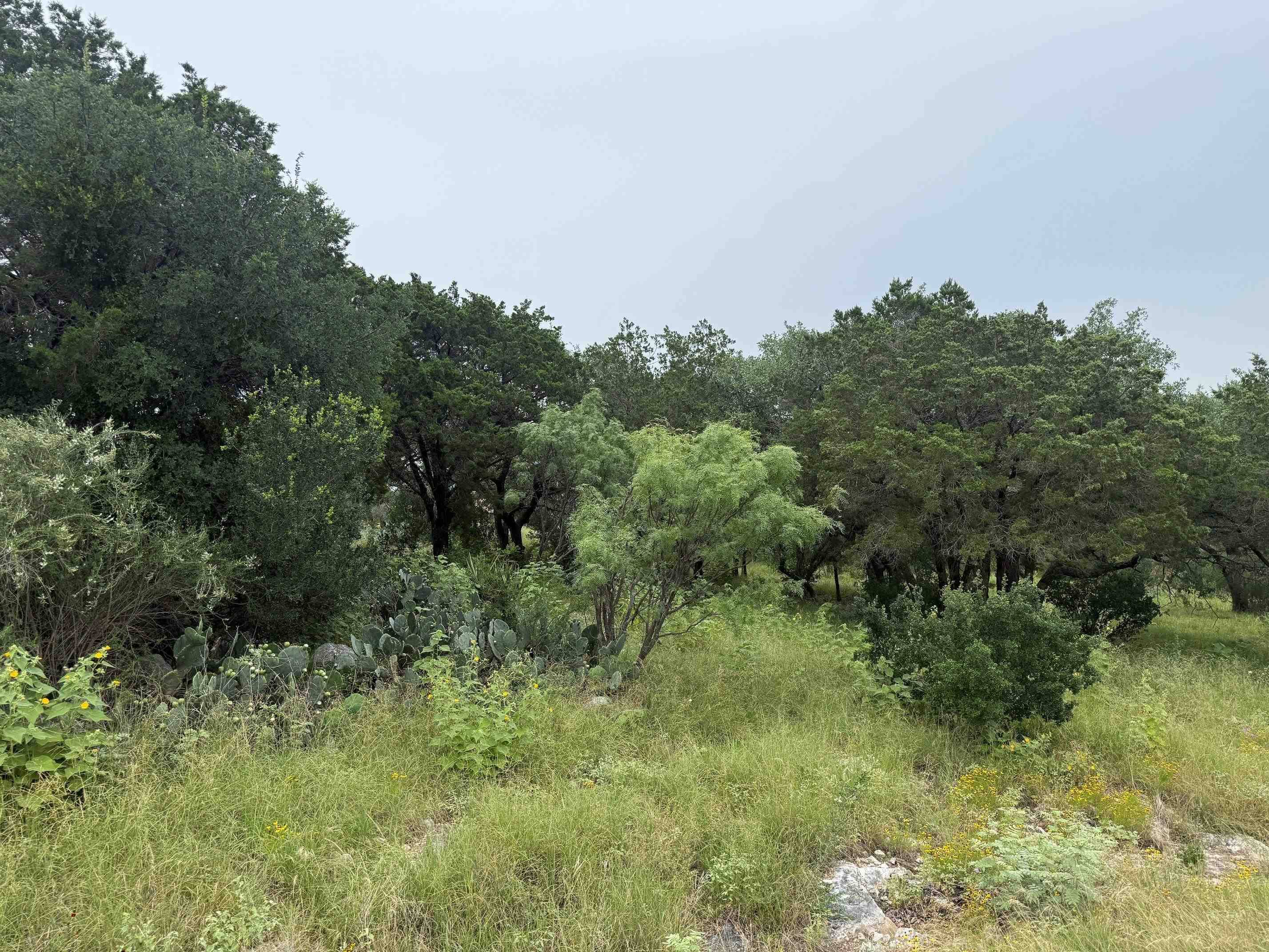 LT 27043 Buck, Horseshoe Bay, TX 78657