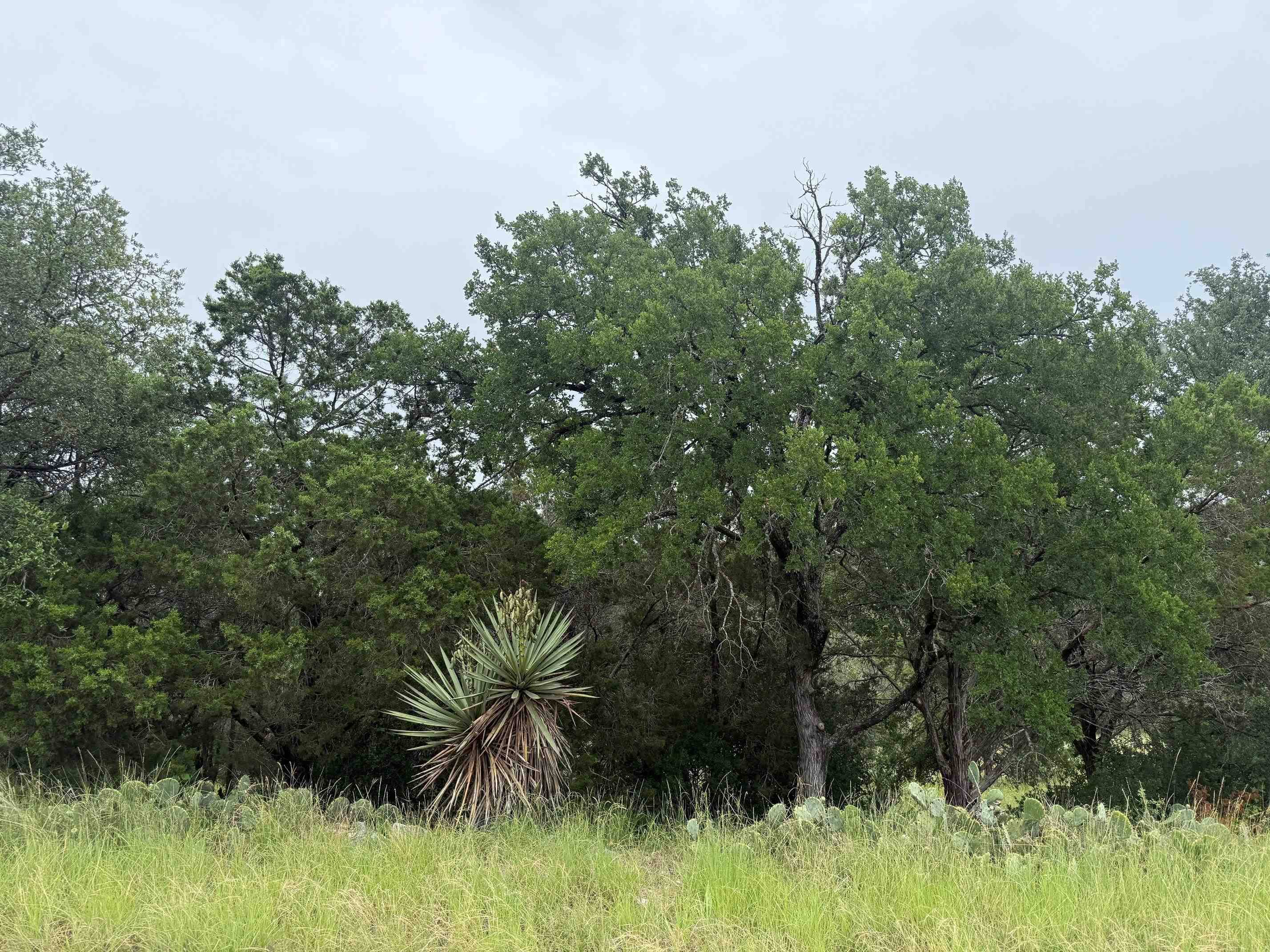 LT 27122 Hi Mesa, Horseshoe Bay, TX 78657