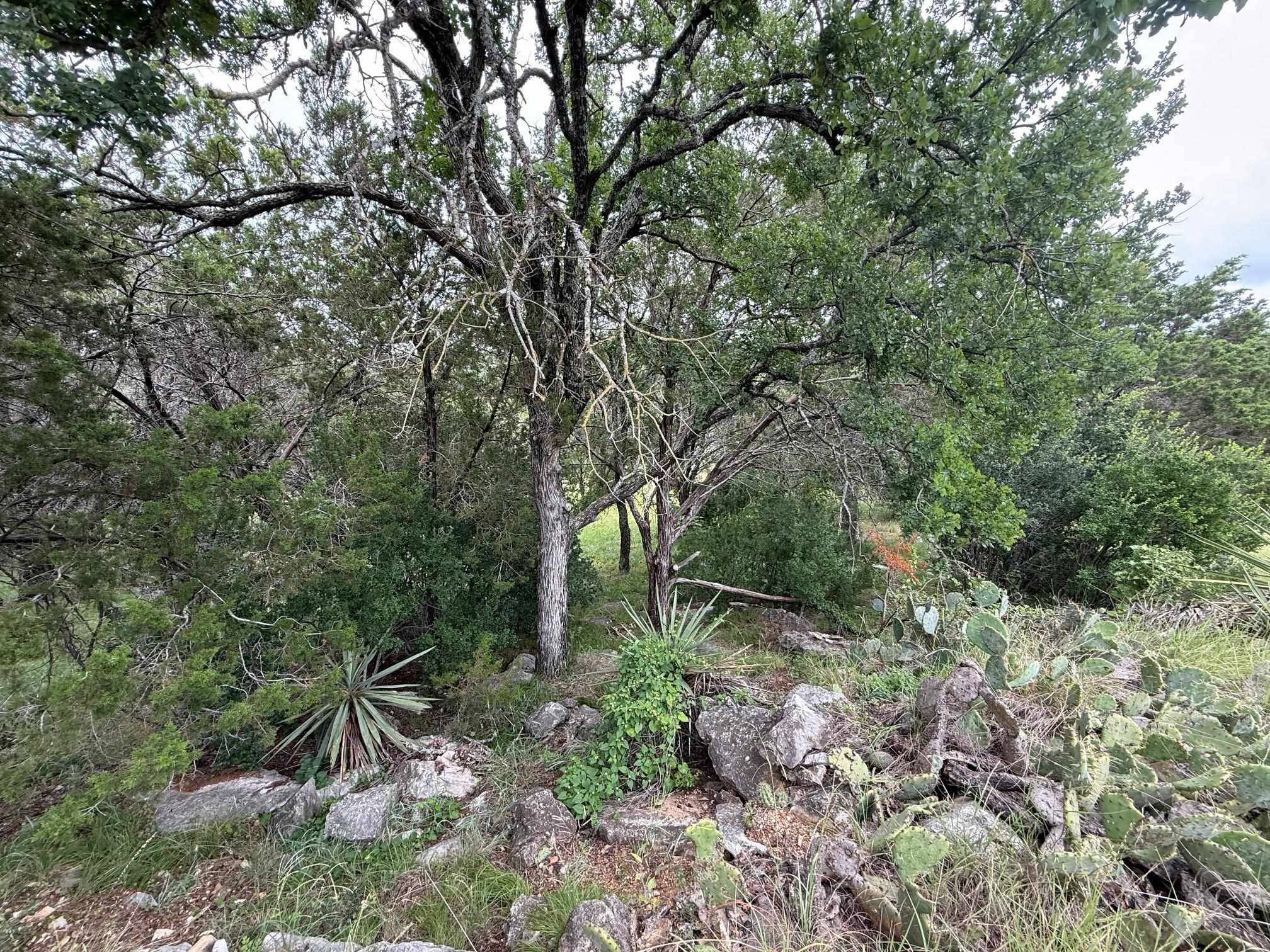 LT 27122 Hi Mesa, Horseshoe Bay, TX 78657