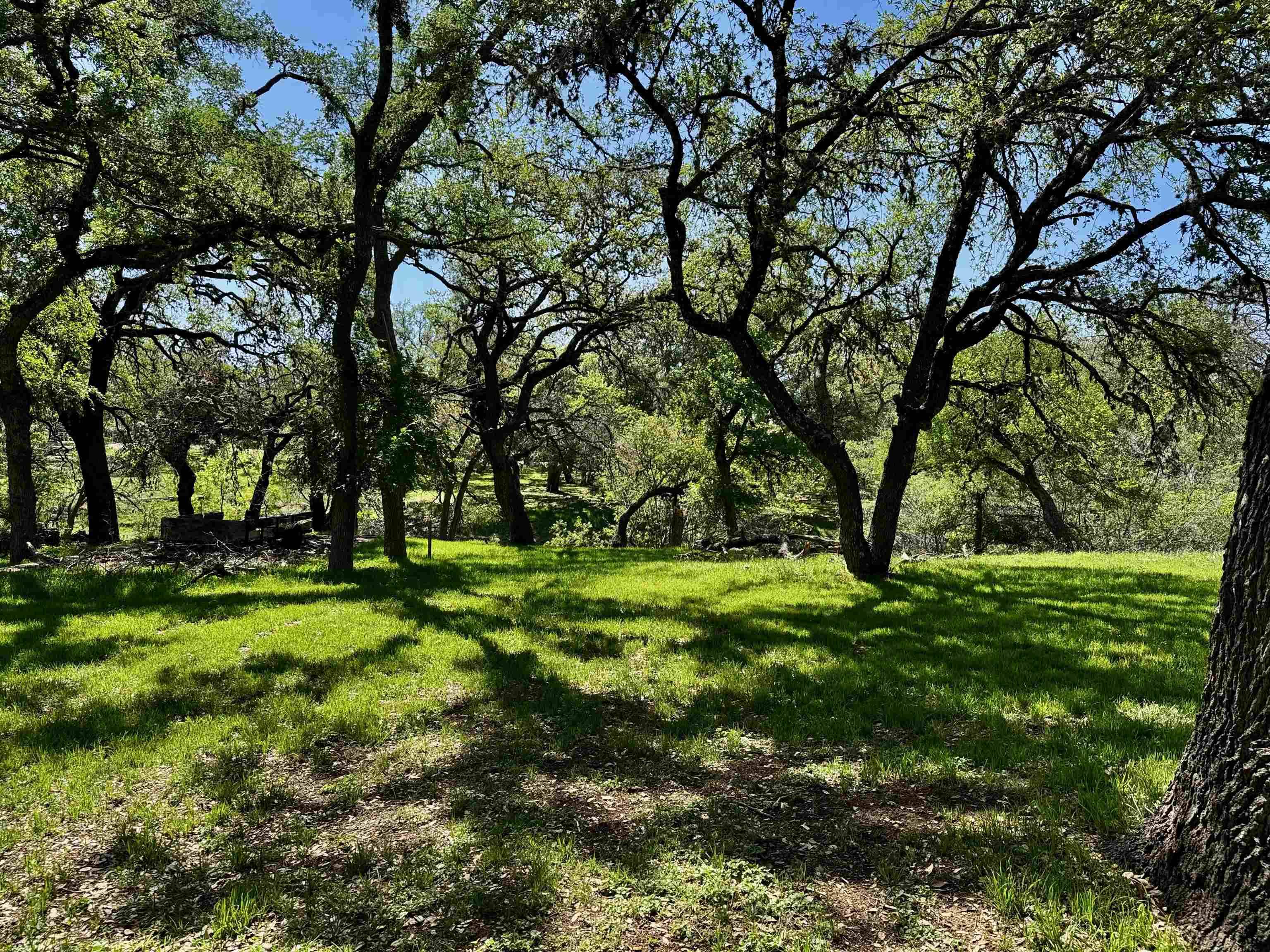 00 Cedar Trail, Tow, TX 78672