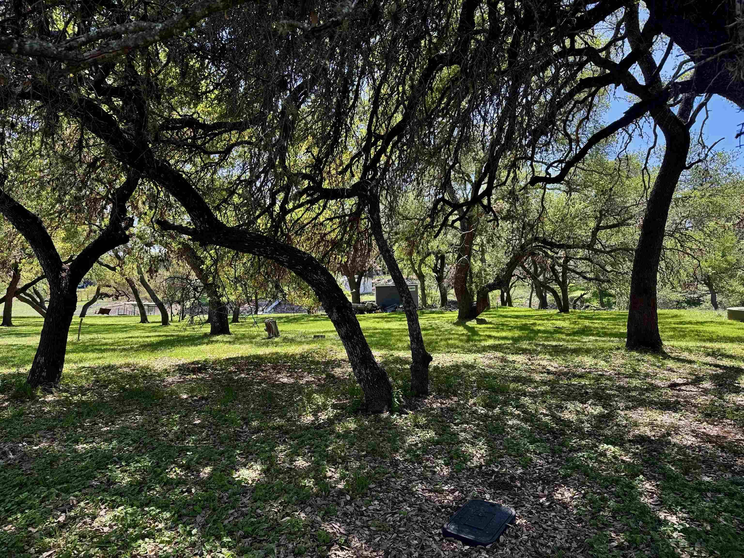 00 Cedar Trail, Tow, TX 78672