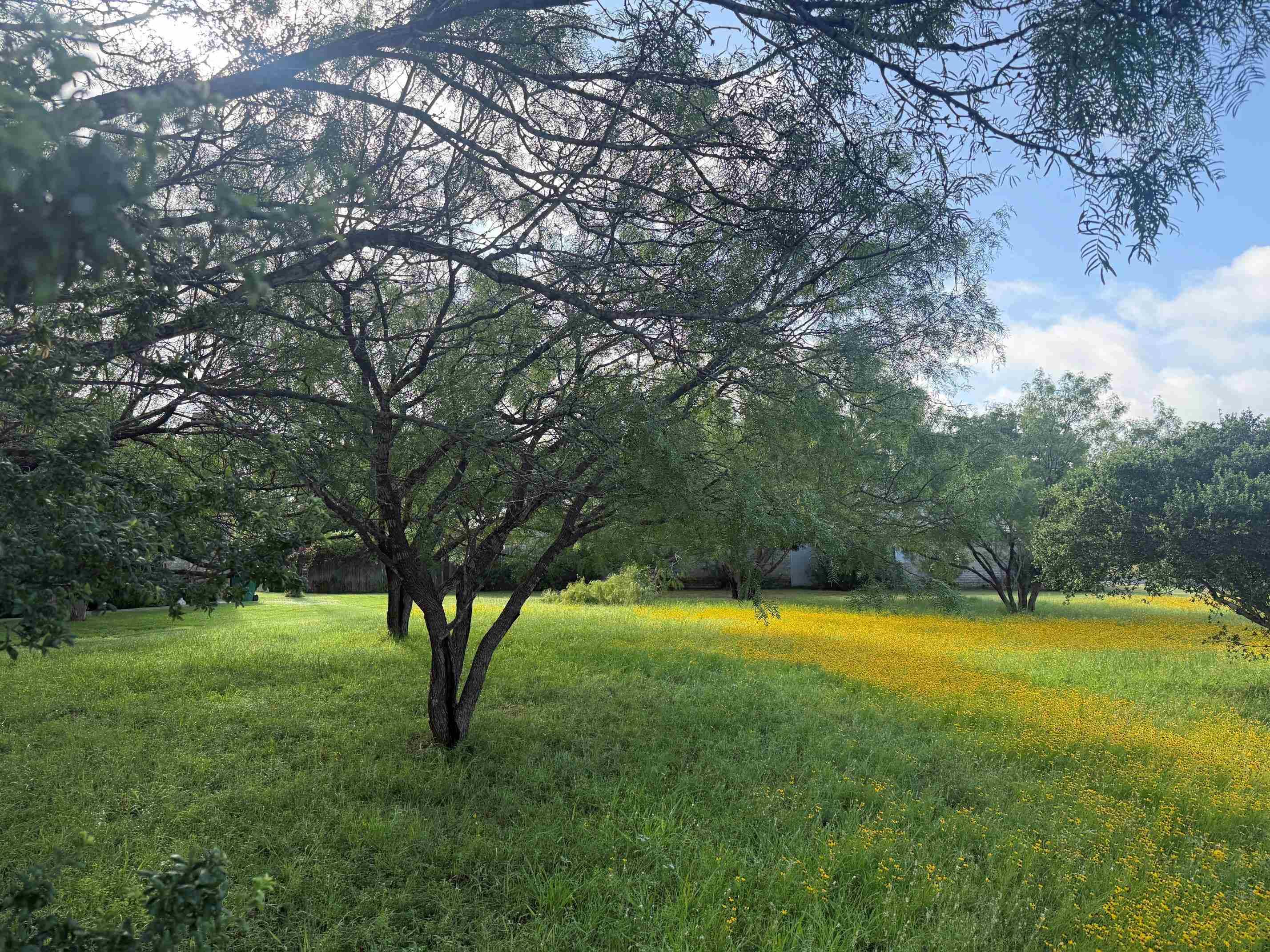 2309 Fault Line Dr, Horseshoe Bay, TX 78657