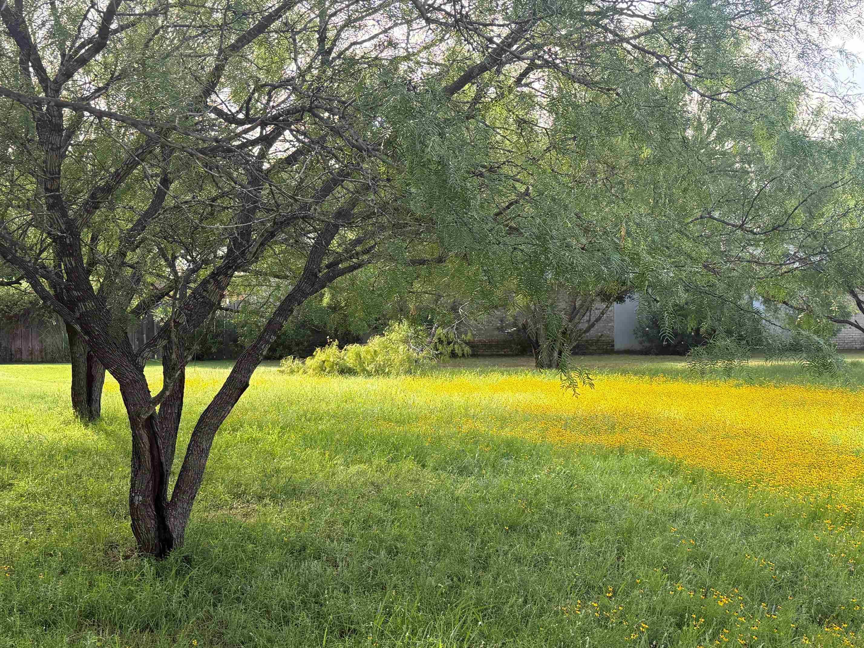 2309 Fault Line Dr, Horseshoe Bay, TX 78657