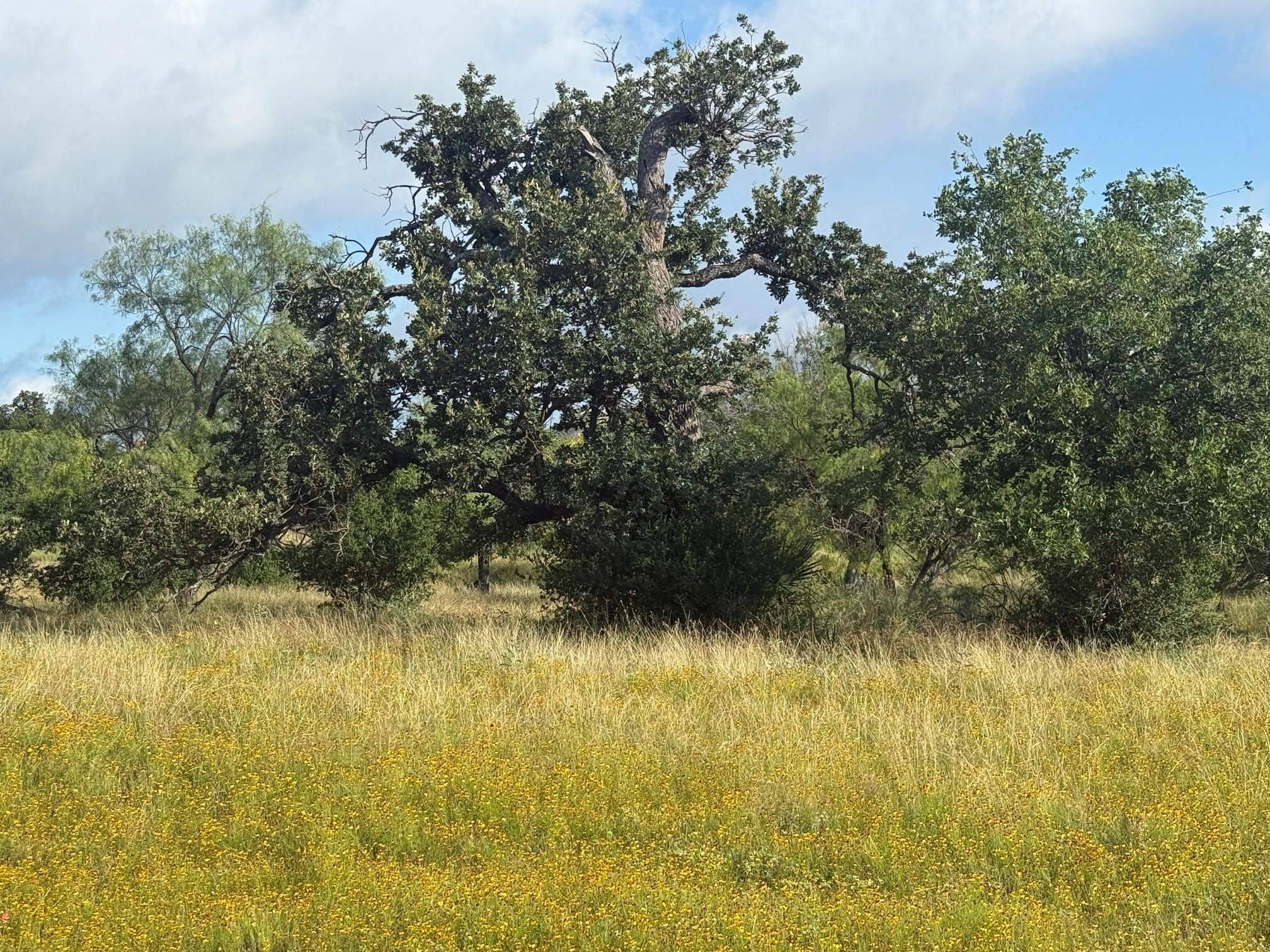 LT W20007-B Fault Line, Horseshoe Bay, TX 78657