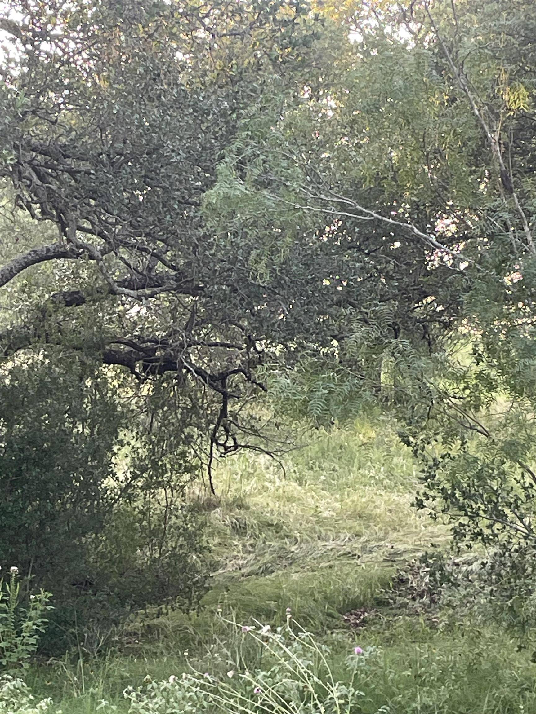 Lot 15 Orange Plume, Horseshoe Bay, TX 78657