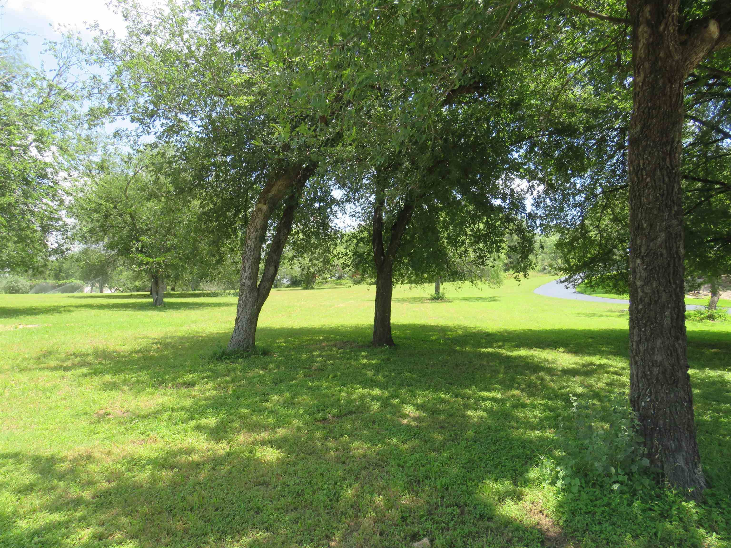Lot 67 Bridgepoint DR, Kingsland, TX 78639