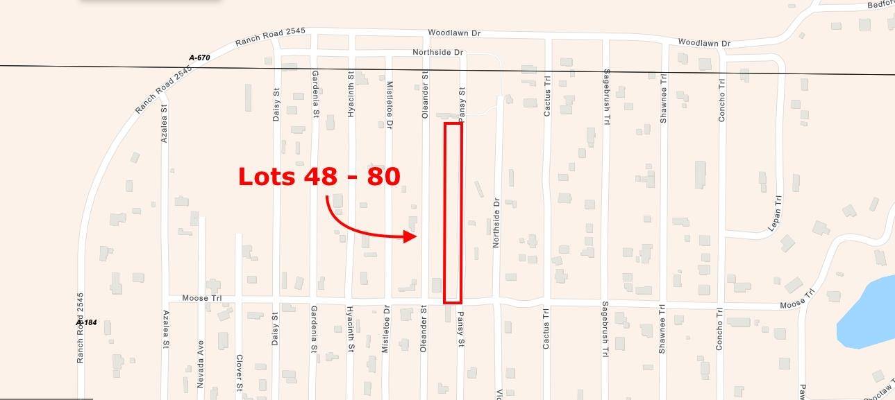 Pansy RD, Kingsland, TX 78639