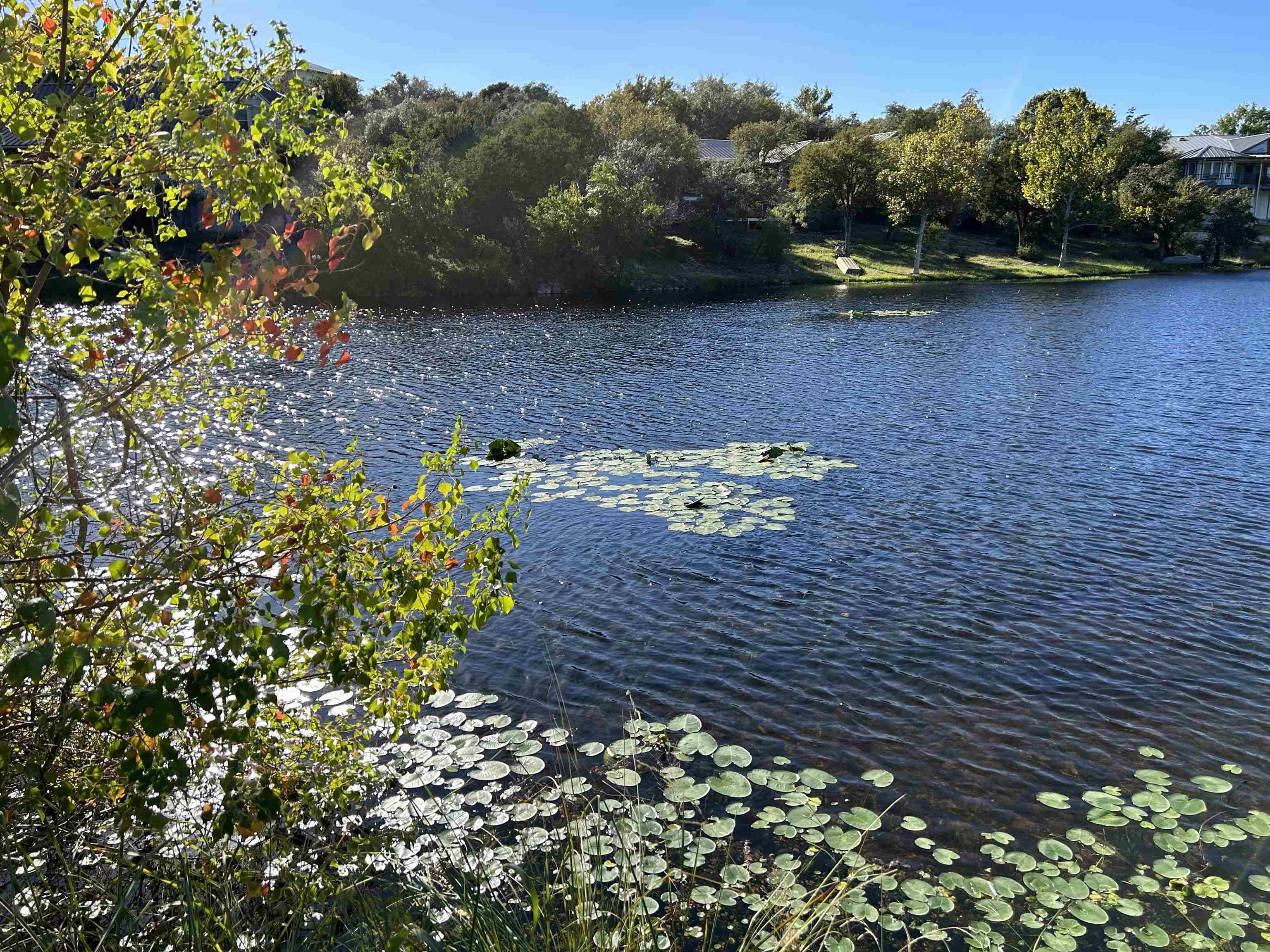 511 Saddle Horn, Horseshoe Bay, TX 78657