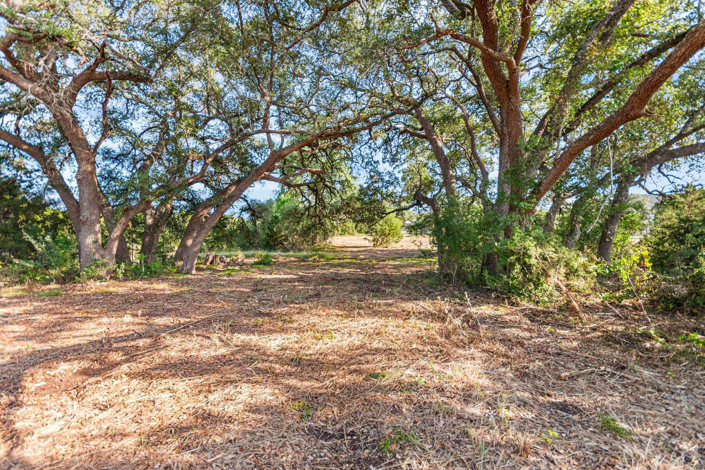 Lot 160 Brumley View CT, Marble Falls, TX 78654