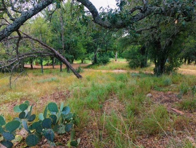 W1126-A Blister Gold, Horseshoe Bay, TX 78657
