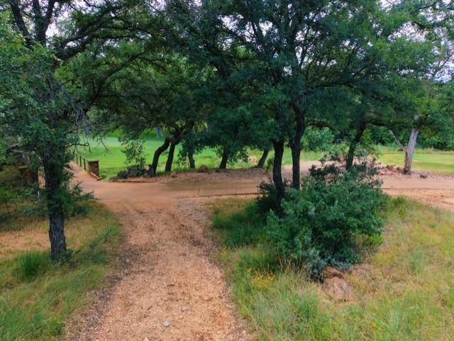 W1126-A Blister Gold, Horseshoe Bay, TX 78657